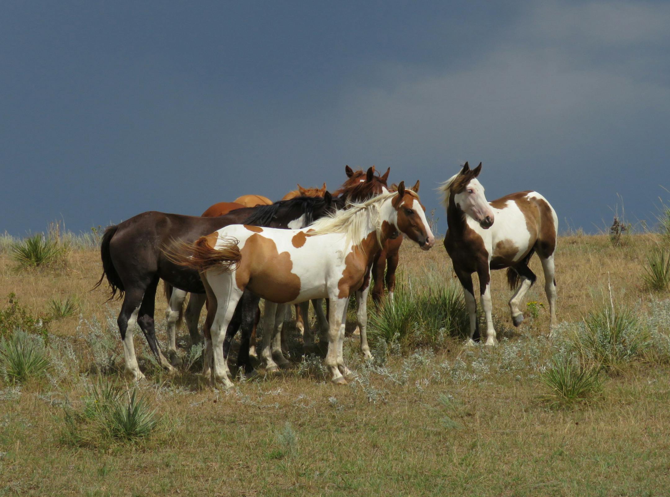 Native American Scenic Byway, Lewis & Clark Trail. Photo by Lisa McClintick