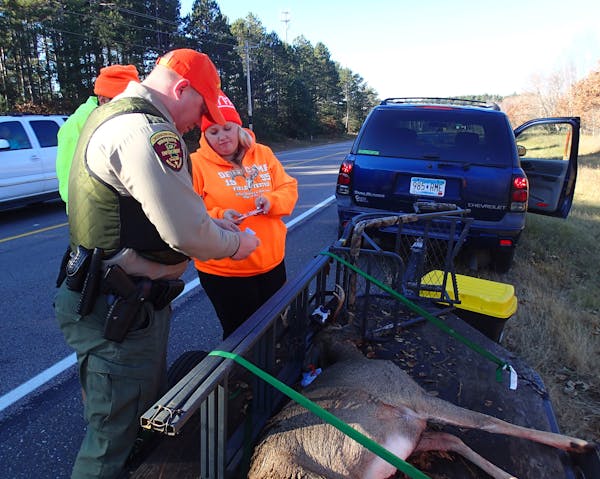 DNR conservation officer Brent Grewe checked the license of Bridget Benhardus of Rice, Minn., who bagged a five-point buck.