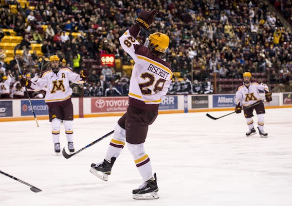Minnesota Golden Gophers defenseman Jake Bischoff (28) celebrated with teammates after scoring a goal on the Michigan State Spartans in the second per
