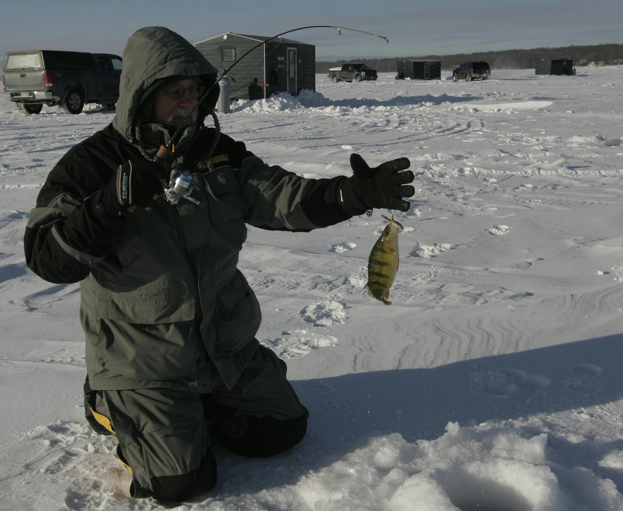 Doug Smith/Star Tribune; Jan. 23, 2014, Leech Lake, Mn. David Keen, 66, of Winona, pulls a perch through 3-feet of ice at Leech Lake. Though his group had rented a heated fish house, he had better luck moving around to different spots outside. "It's not bad if you're dressed right,'' he said.