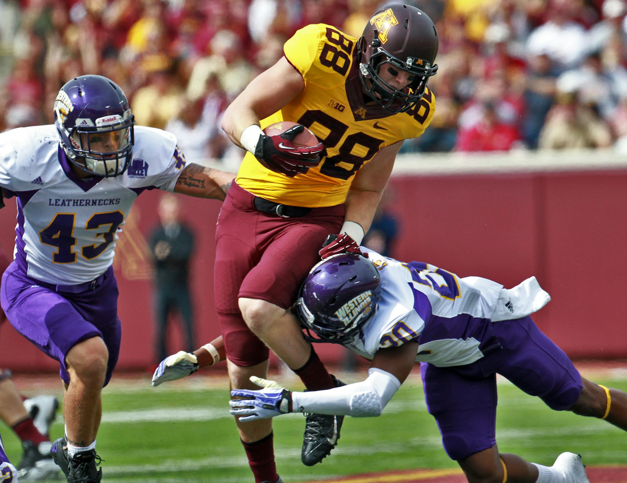 Minnesota Gophers vs. Western Illinois Leathernecks football. Gophers receiver Maxx Williams picked up extra yards after a first half reception. (MARLIN LEVISON/STARTRIBUNE(mlevison@startribune.com)