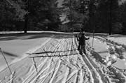 Children hit the cross-country ski trails at Heartwood Conference Center and Retreat near Trego, Wis., Saturday, Feb. 15.