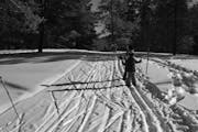 Children hit the cross-country ski trails at Heartwood Conference Center and Retreat near Trego, Wis., Saturday, Feb. 15.