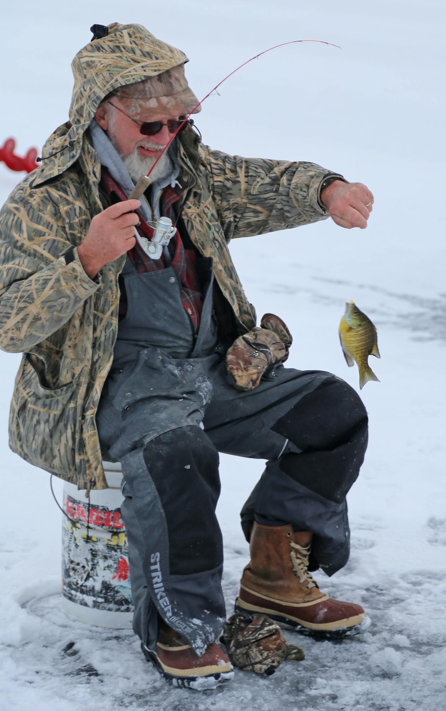 Carl Bierman of Wyoming Minnesota fished in agout 7 feet of water on Chisago Lake to catch this bluegill.