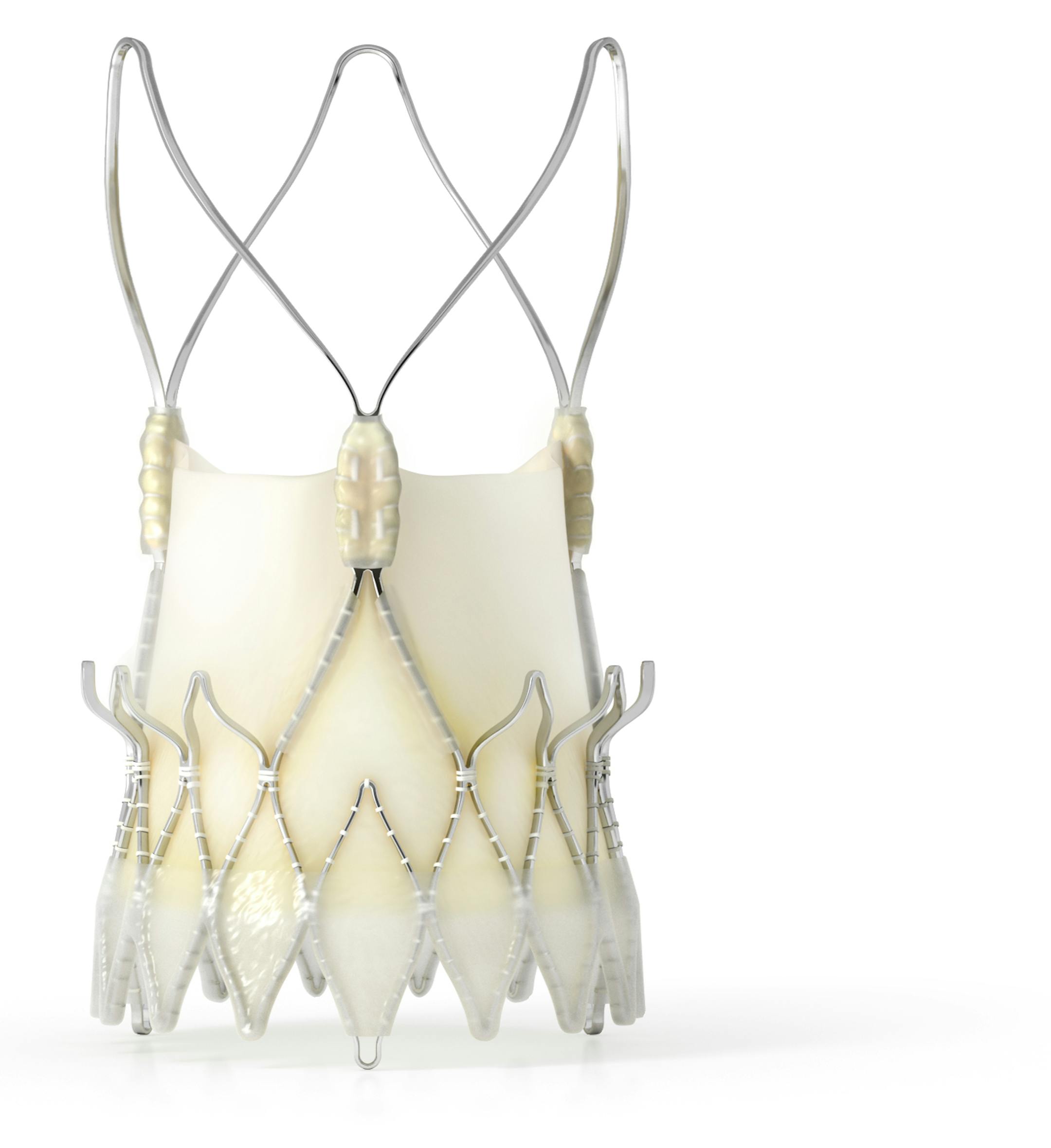 Symetis SA, a private company based in Lausanne, Switzerland, makes minimally invasive transcatheter aortic heart valves called the Acurate TA and Acurate neo/TF (pictured.)