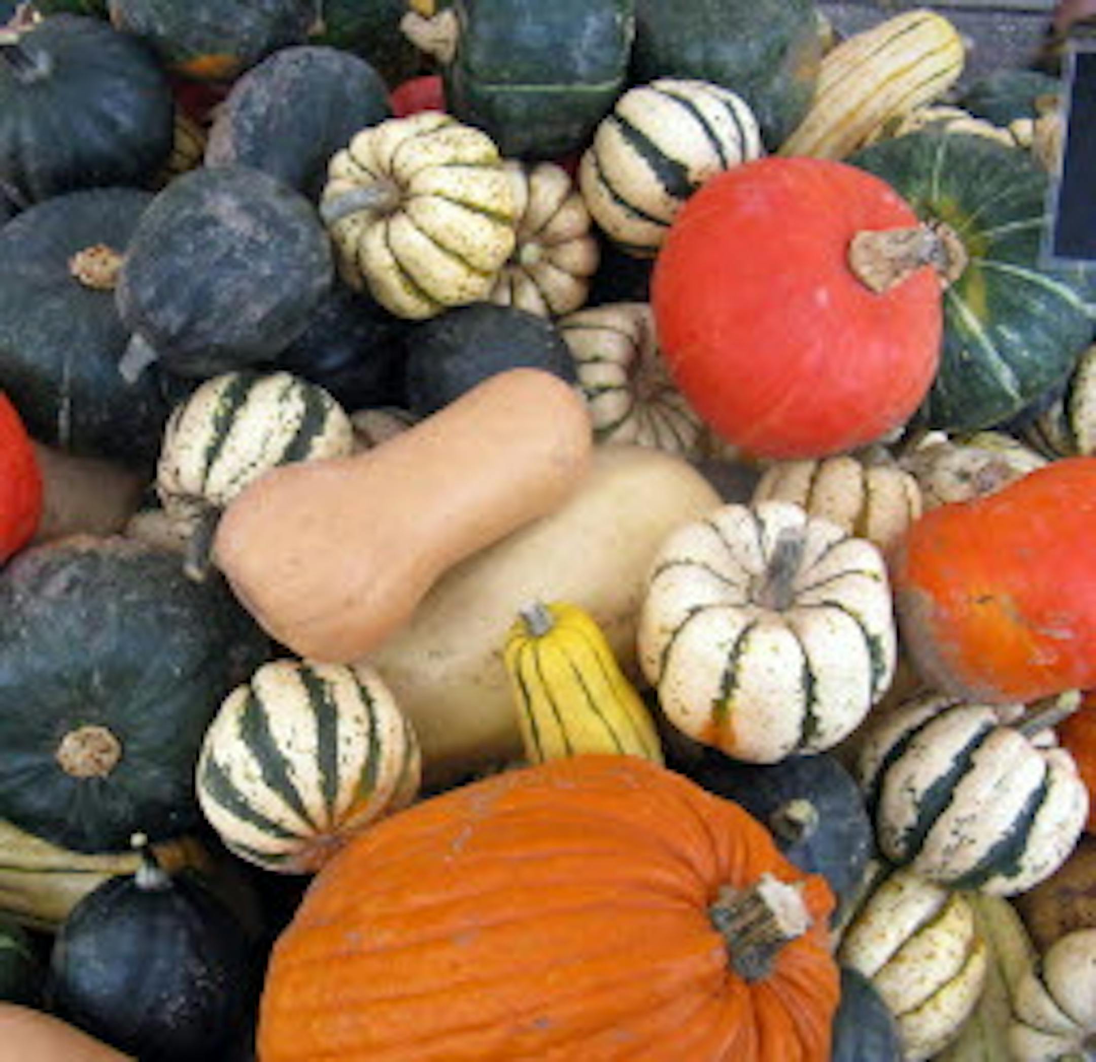 Varieties of squash are just some of the produce available even as some outdoor farmers markets such as Mill City move indoors. Minneapolis and St. Paul Farmers Markets remain open daily through mid- to late November.
