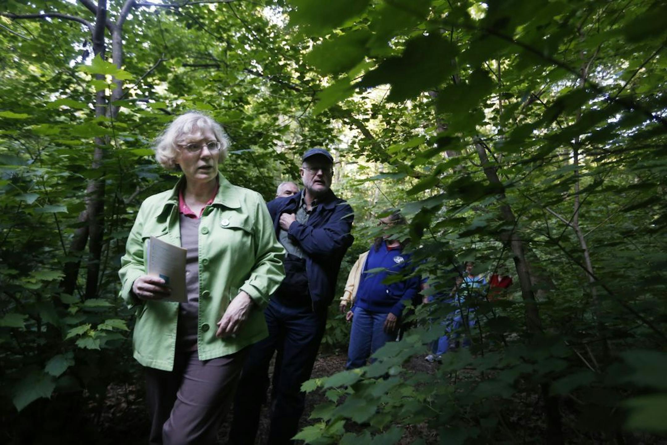 At Eloise Butler Butler Wildflower Garden and Bird Sanctuary the Walk Walk on the Wild Side hiking group explored the Minneapolis gem in the evening led by Linda Quammen who knew just something about every plant she encountered.