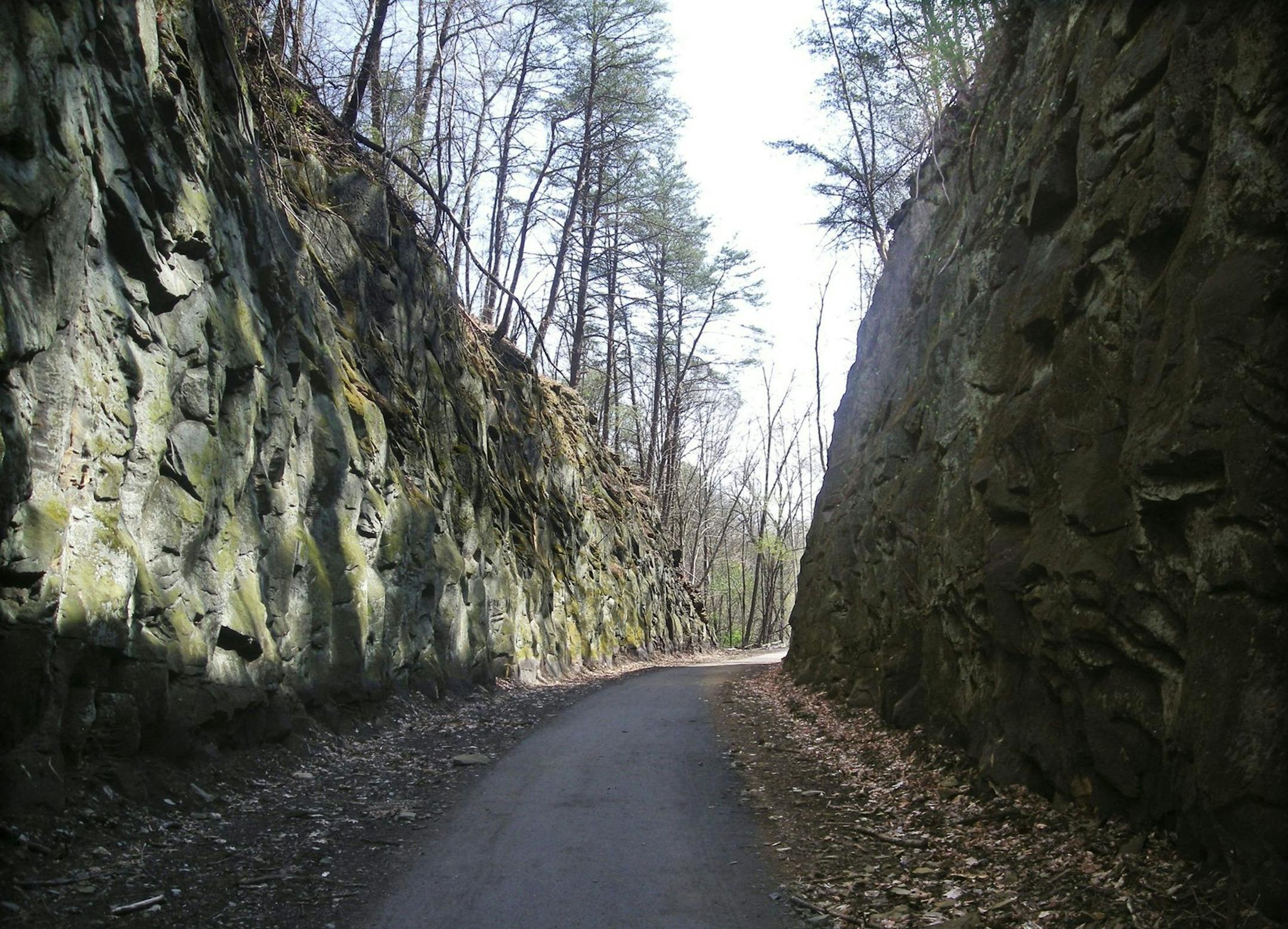The Deep Cut blasted through Blackhand sandstone by an old railroad is the most striking feature in Blackhand Gorge State Nature Preserve. The cut is 65 feet high, 30-feet wide and 700-feet long. It sits next to the Licking River near Newark. (Bob Downing/Akron Beacon Journal/MCT) ORG XMIT: 1147696