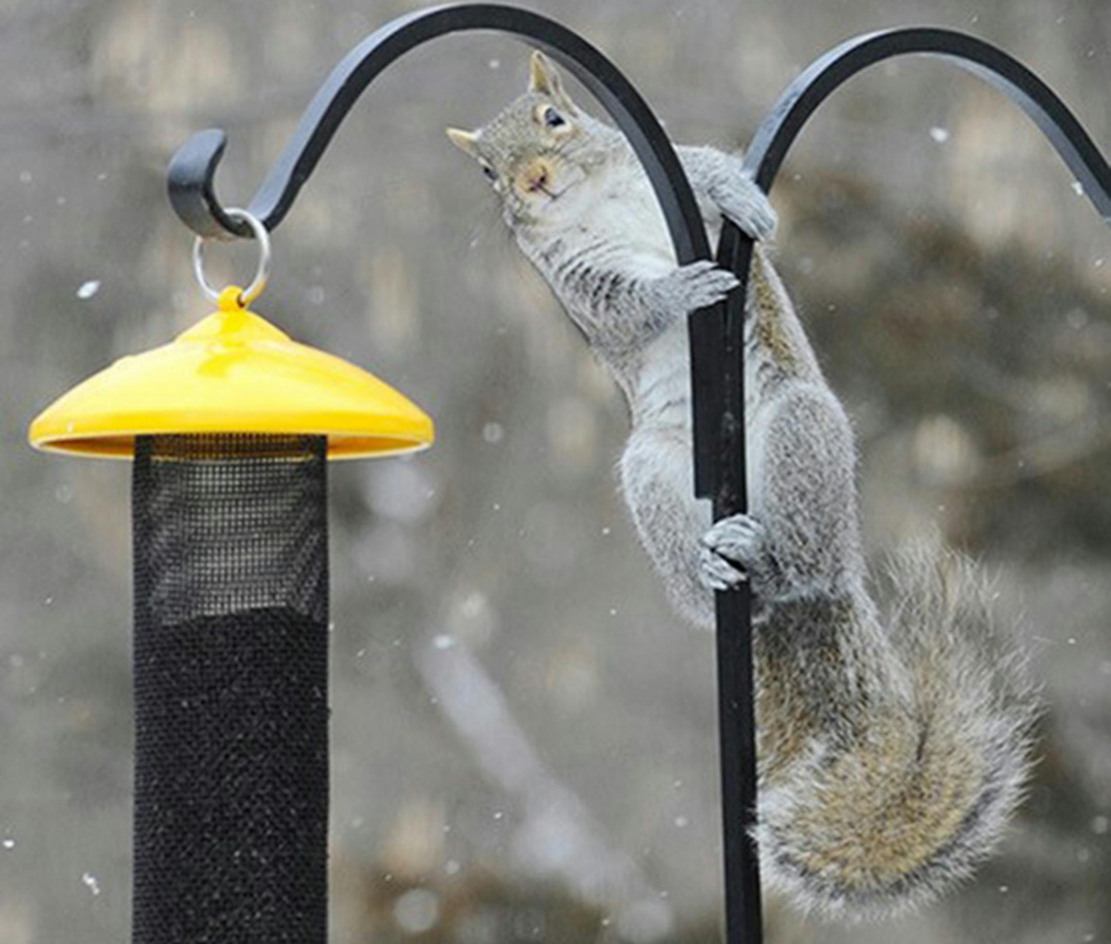 The solution to problems like this is location, location, location. And, buy a baffle.