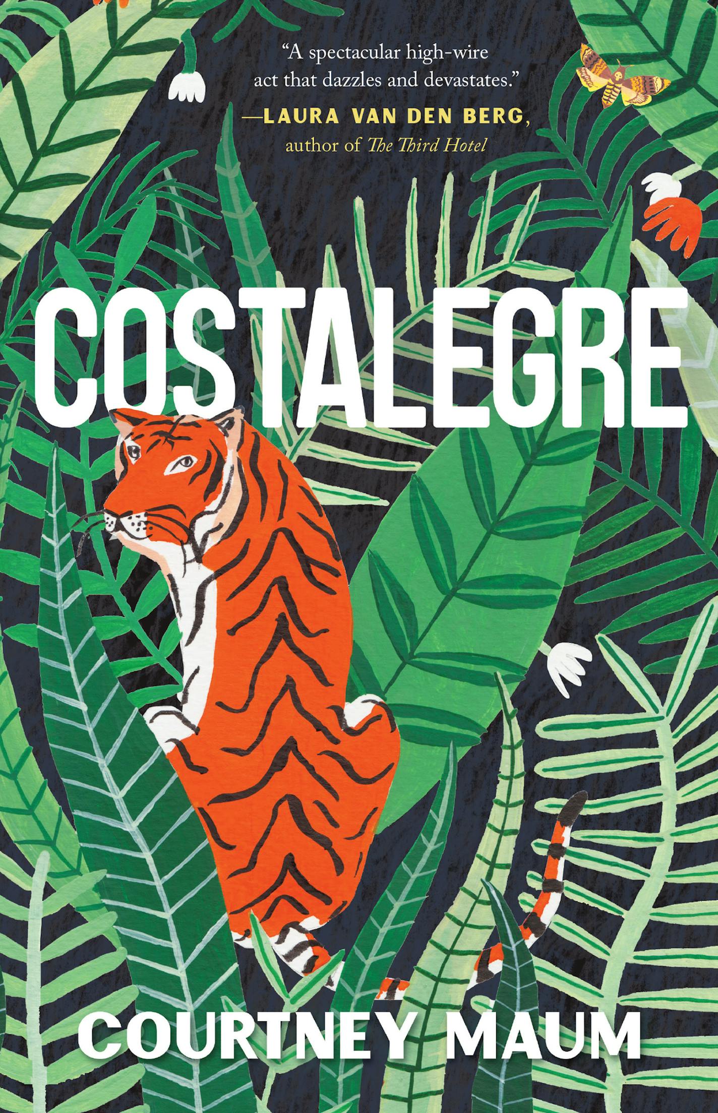 Costalegre by Courtney Maum