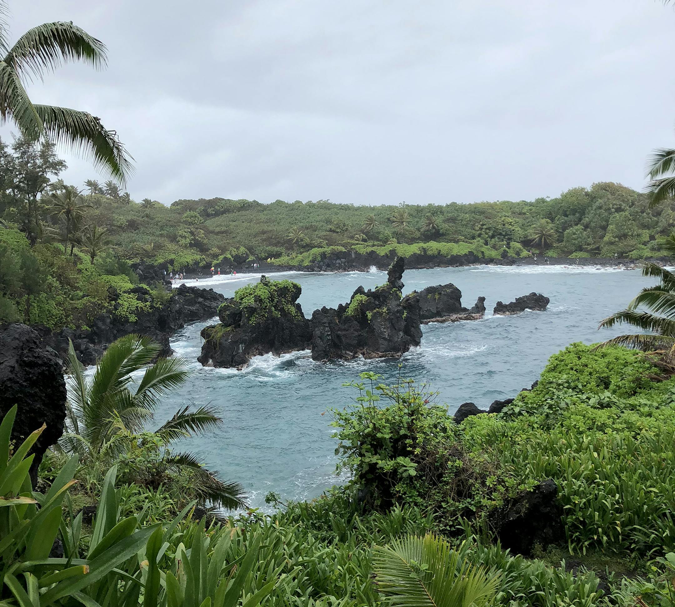 Black lava and lush forest merge at Wai'anapanapa State Park, in Hana, Maui.