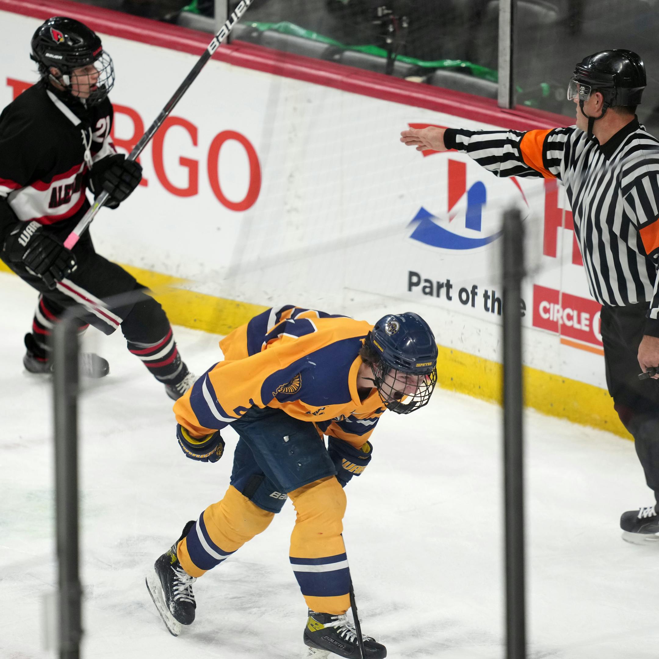 Mahtomedi forward Corey Bohmert (24) celebrates after scoring on Alexandria goaltender Elijah Rasmusen (1) in the second period of a MSHSL Class 1A quarterfinal hockey game between Alexandria and Mahtomedi.