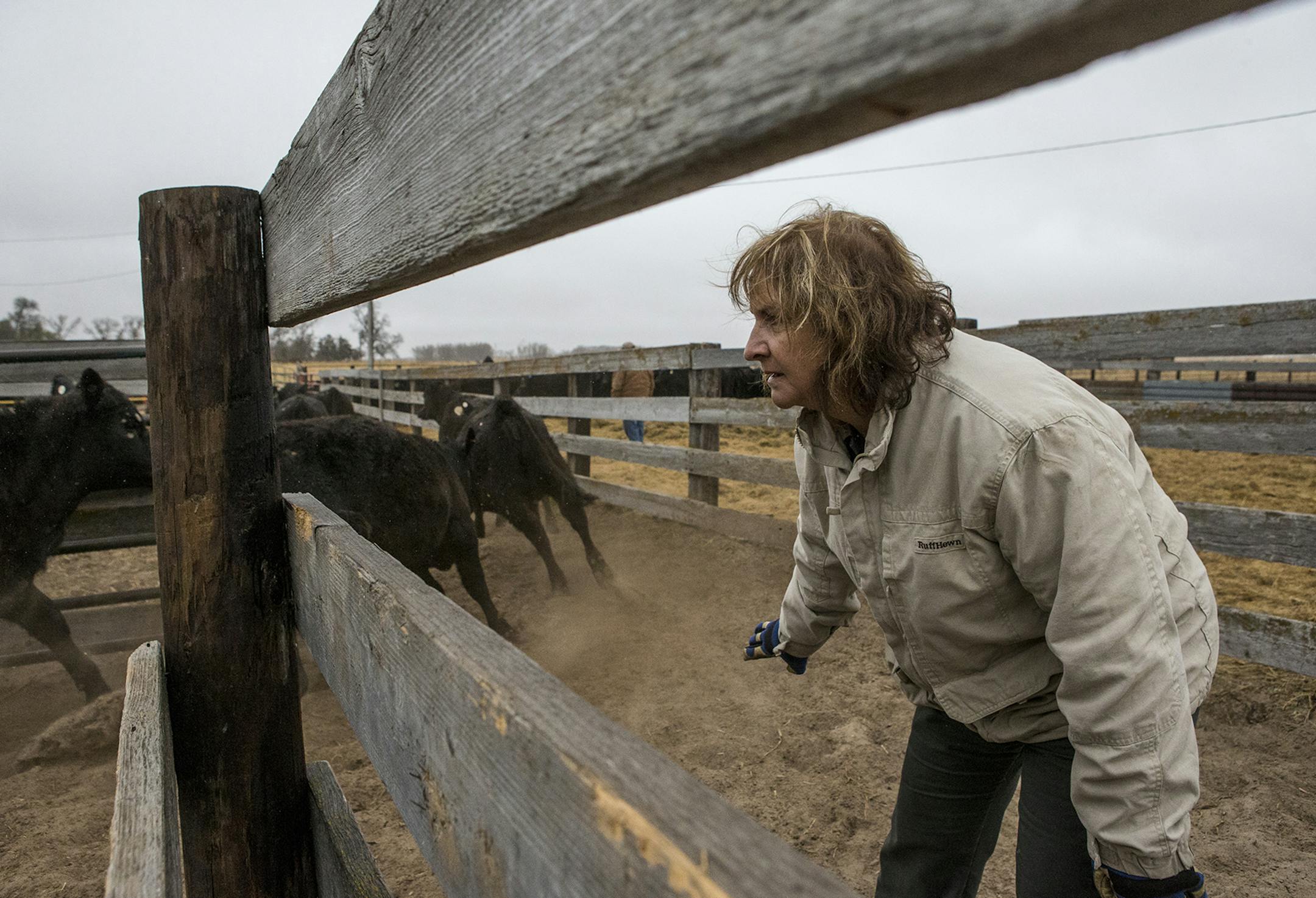 Many states with a shortage of doctors are giving nurse practitioners greater responsibilities and autonomy.