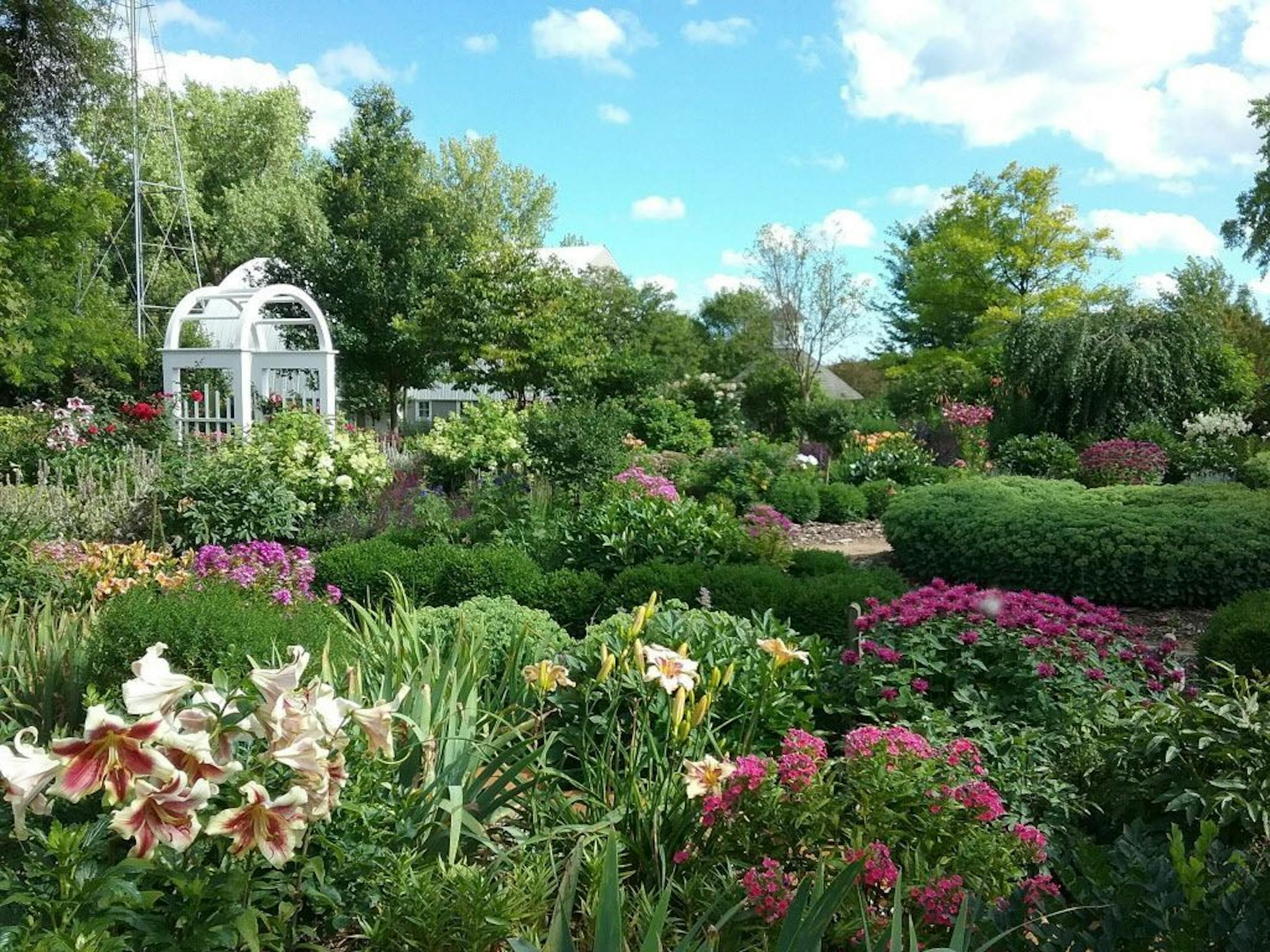 The Youngs' arbor garden is lush with pink, purple and white perennials as well as multi-colored lilies.