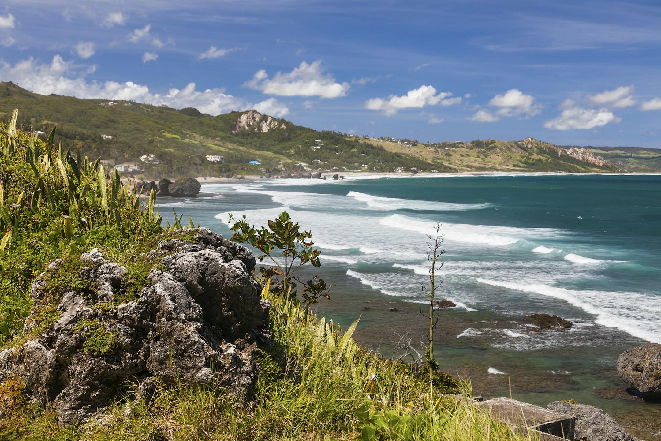 The beach at Bathsheba, on the eastern coast of Barbados.