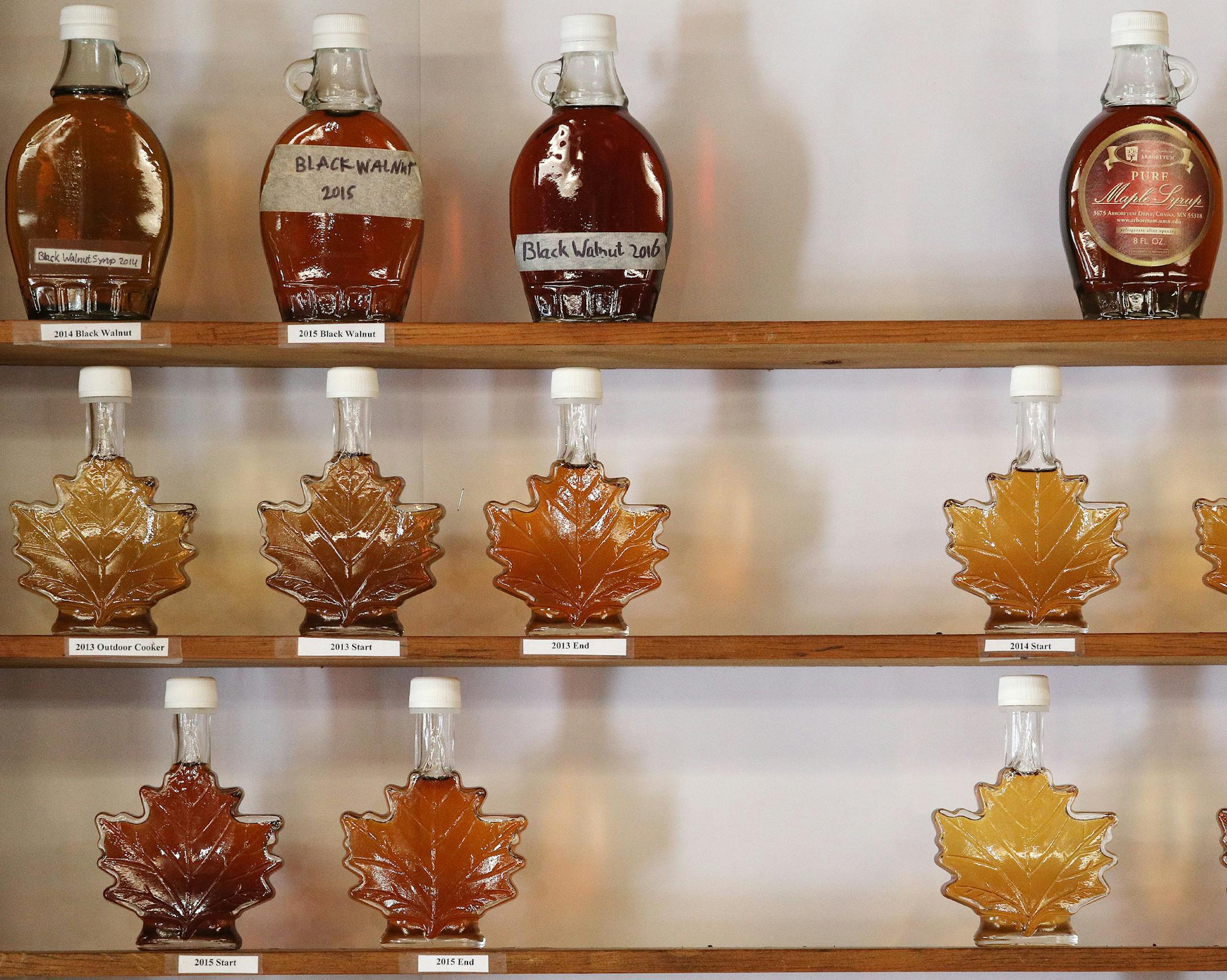 A mini archive of sorts contains bottles of a syrup from past years produced by the Minnesota Landscape Arboretum. ] ANTHONY SOUFFLE ï anthony.souffle@startribune.com A surprisingly warm winter has sprung at the state's maple syrup production into life several weeks early at the Minnesota Landscape Arboretum in Chaska, Minn. The Arboretum recorded the earliest sap tap date yet. They sponsor several educational programs that explain the process of maple syrup making, hold an annual pancake b