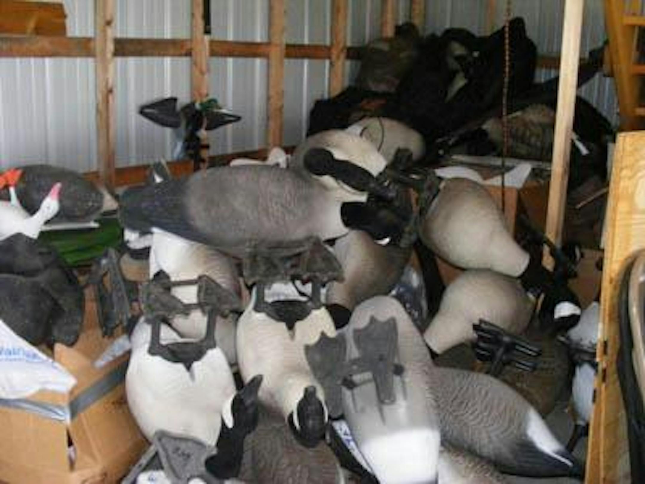 A pile of decoys in a waterfowl's garage holds a mystical power that is hard to explain.
