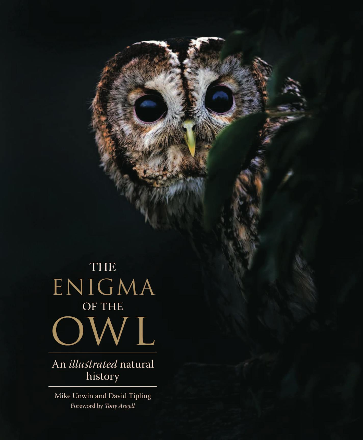 The Enigma of the Owl: An Illustrated Natural History, by MIke Unwin and David Tipling