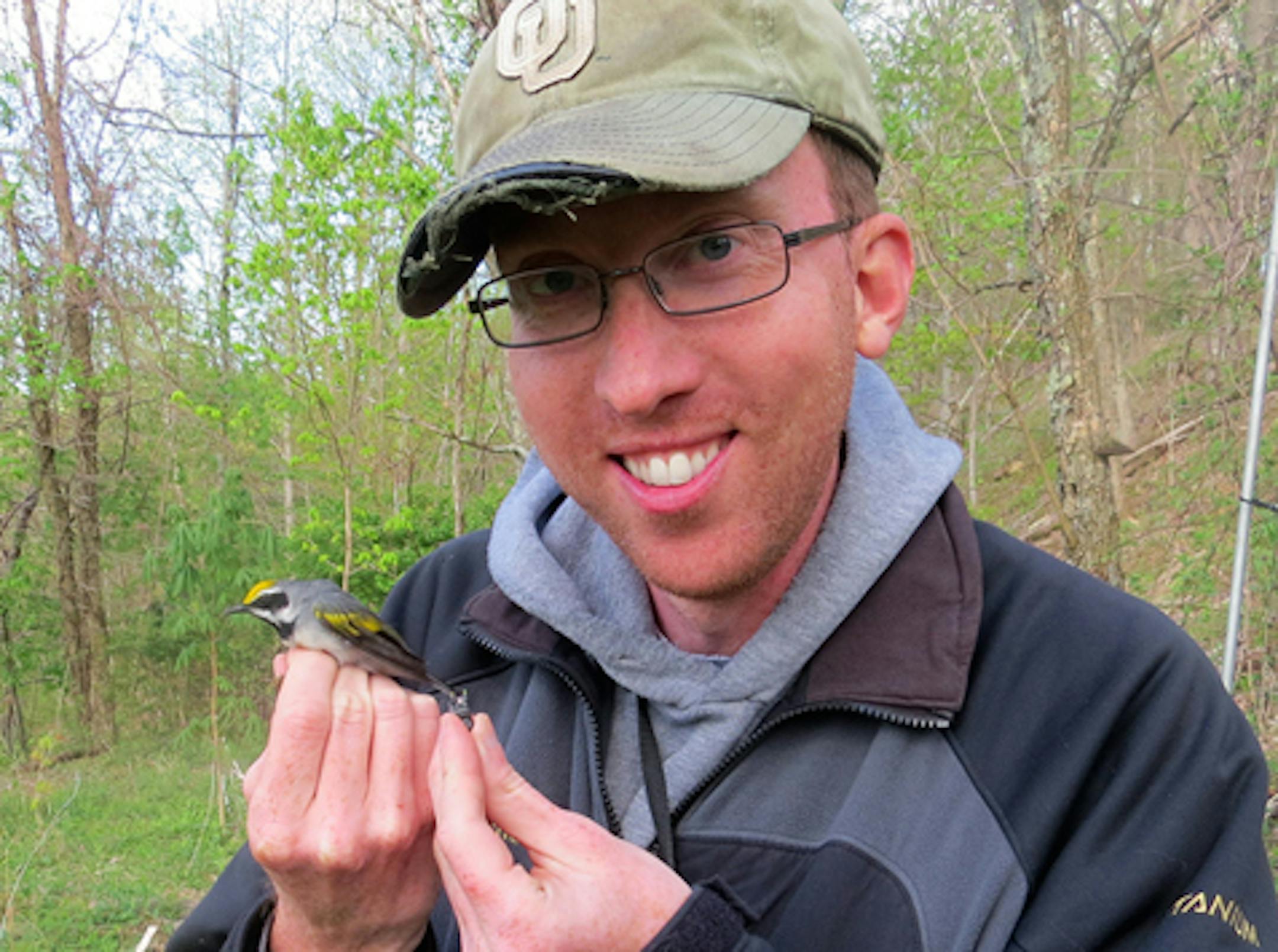 Dr. Henry Streby, holding one of the tagged birds. Photo also by Gunnar Kramer.