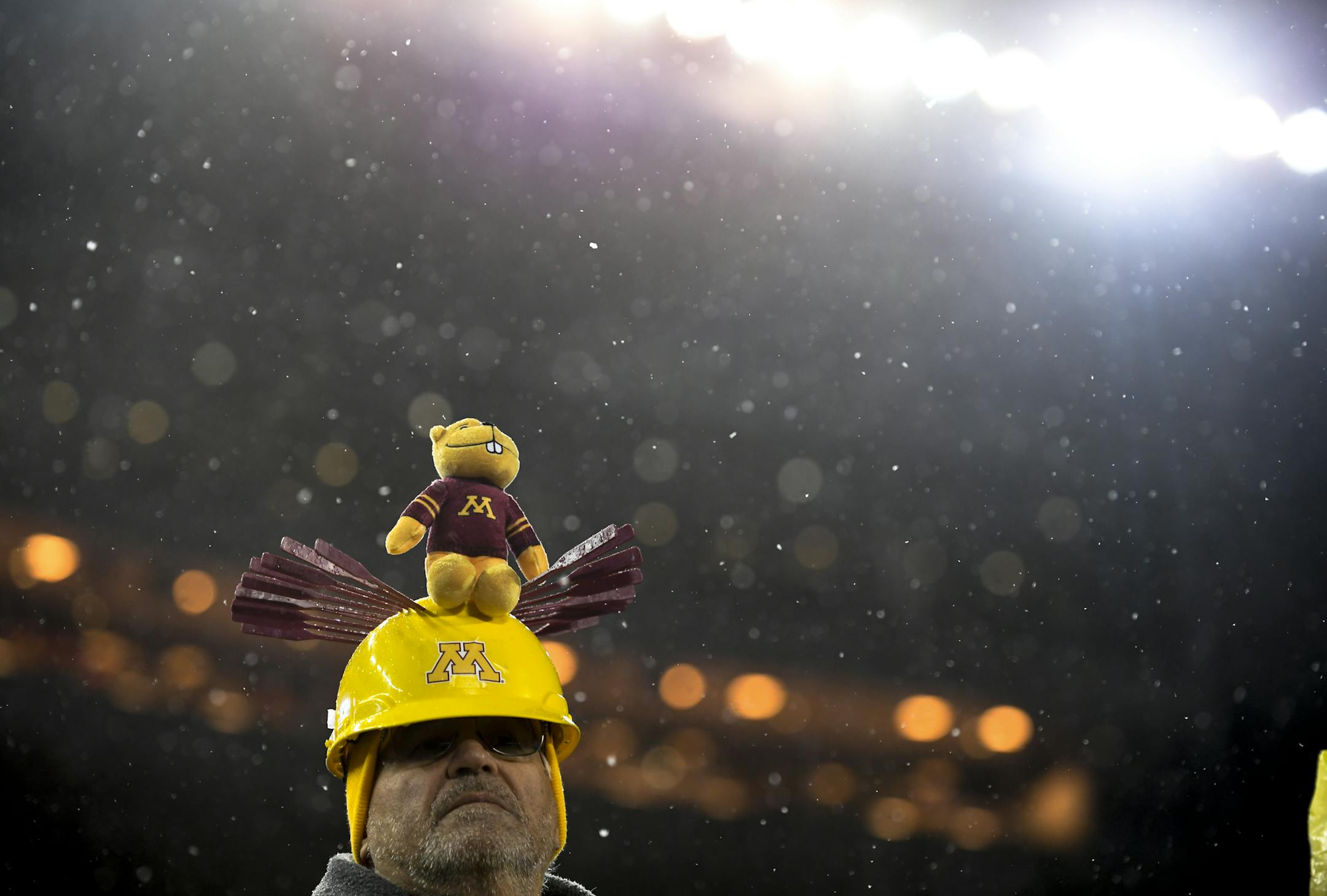 A dejected Gophers fan in the fourth quarter. ] Aaron Lavinsky • aaron.lavinsky@startribune.com The Minnesota Gophers played the Wisconsin Badgers on Saturday, Nov. 30, 2019 at TCF Bank Stadium in Minneapolis, Minn.