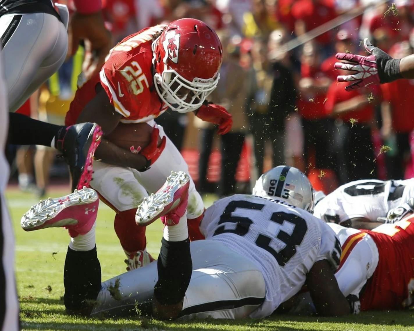 Kansas City Chiefs running back Jamaal Charles (25)