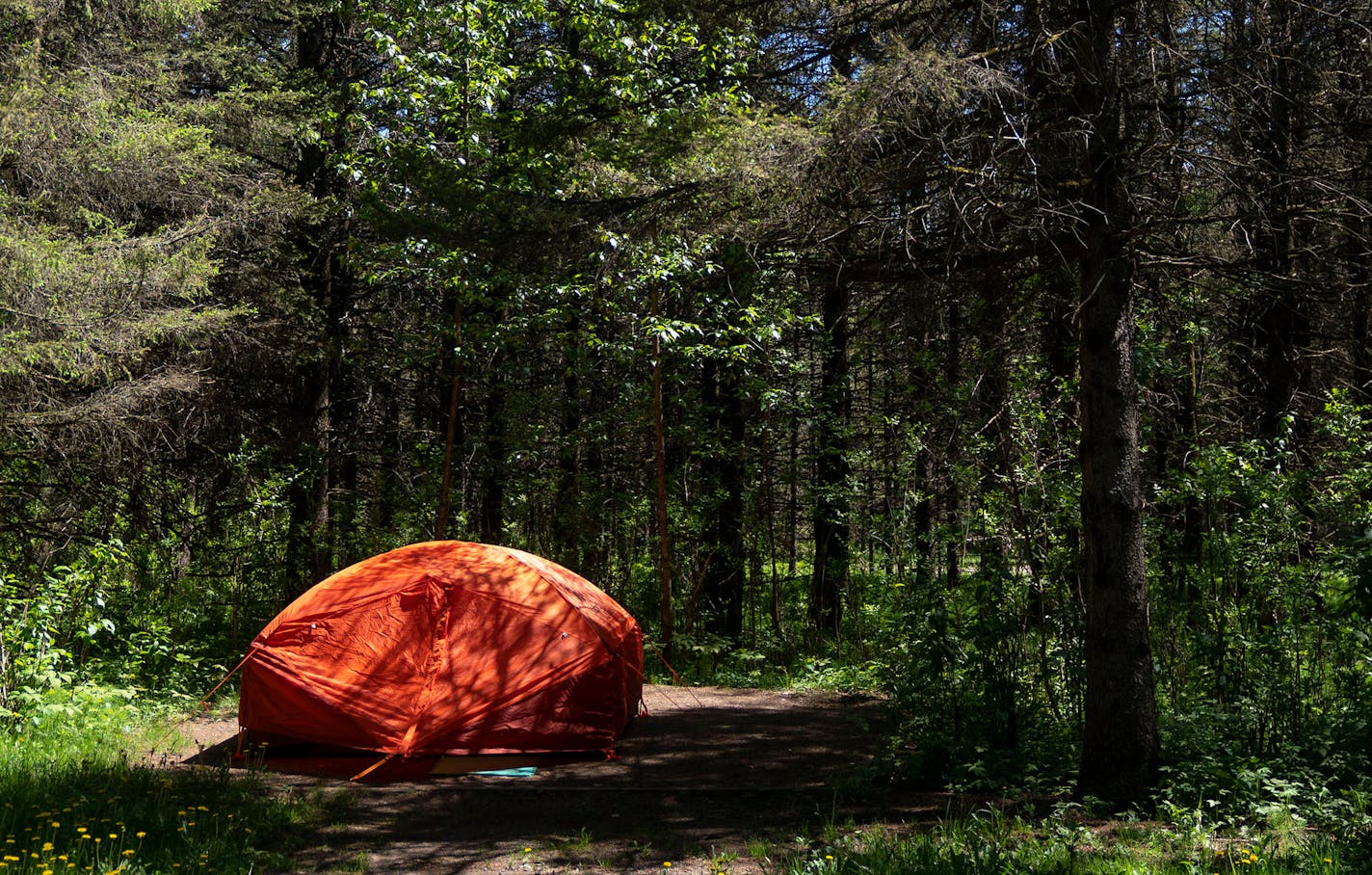 A solo camper's tent was set up at a site in Jay Cooke State Park on May 26, 2021.