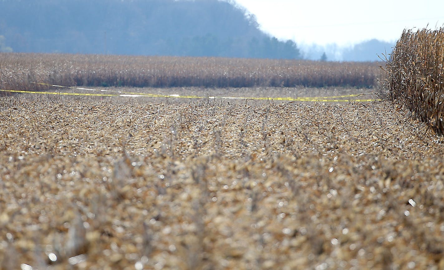 Police tape line an area in the middle of a cornfield near the intersection of W. Cemetery Road and English Grove Road, where the body of college student Laura Ann Schwendemann was found, Tuesday, October 27, 2015 near Villard, MN. ] (ELIZABETH FLORES/STAR TRIBUNE) ELIZABETH FLORES &#x2022; eflores@startribune.com