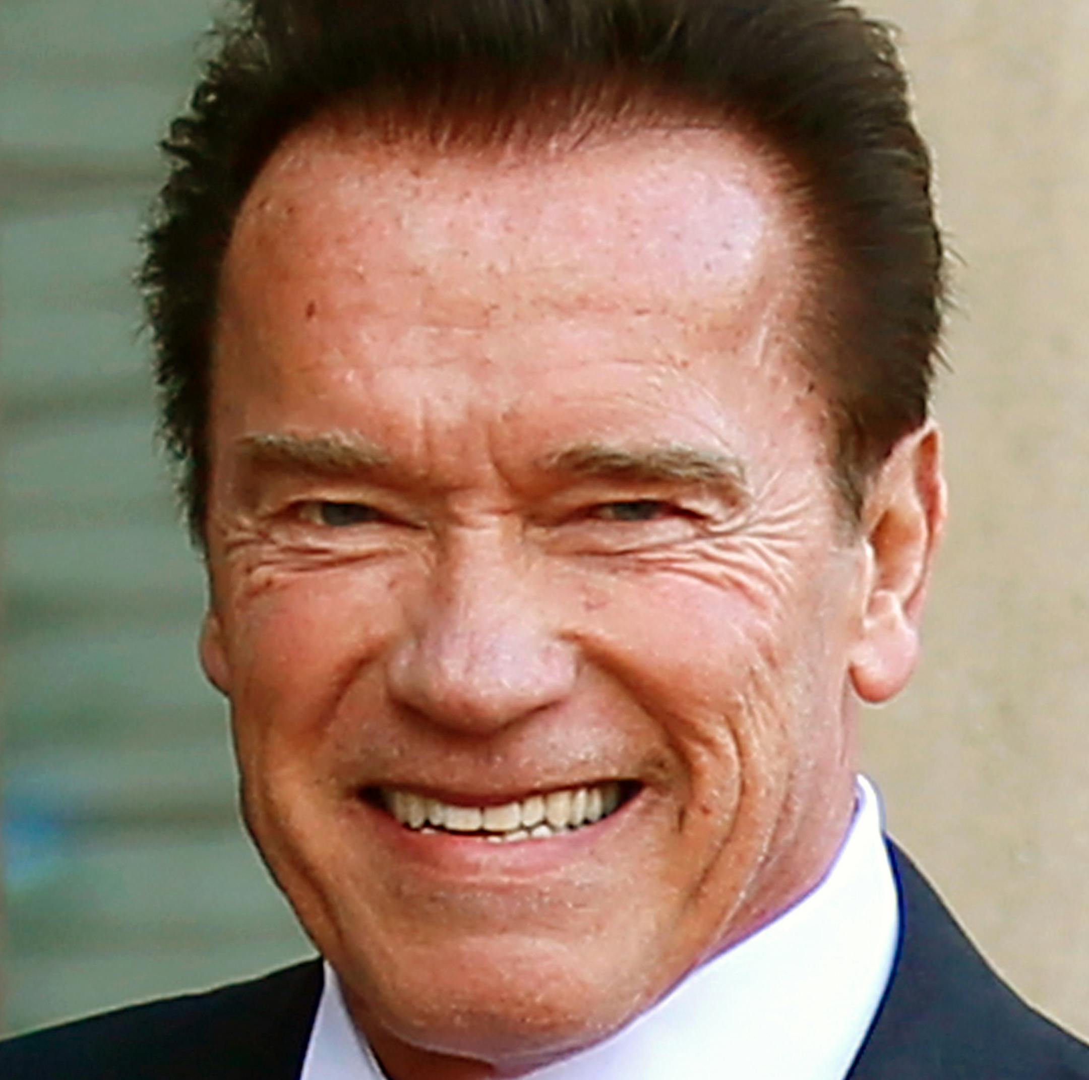 FILE - In this Dec. 12, 2017 file photo, Arnold Schwarzenegger waves as he arrives at the Elysee Palace prior to a meeting on climate change in Paris. Schwarzenegger is recovering in a Los Angeles hospital after undergoing heart surgery. He had a scheduled procedure to replace a pulmonic valve on Thursday, March 29, 2018, according to Schwarzenegger’s spokesman. He is in stable condition. (AP Photo/Francois Mori, File)