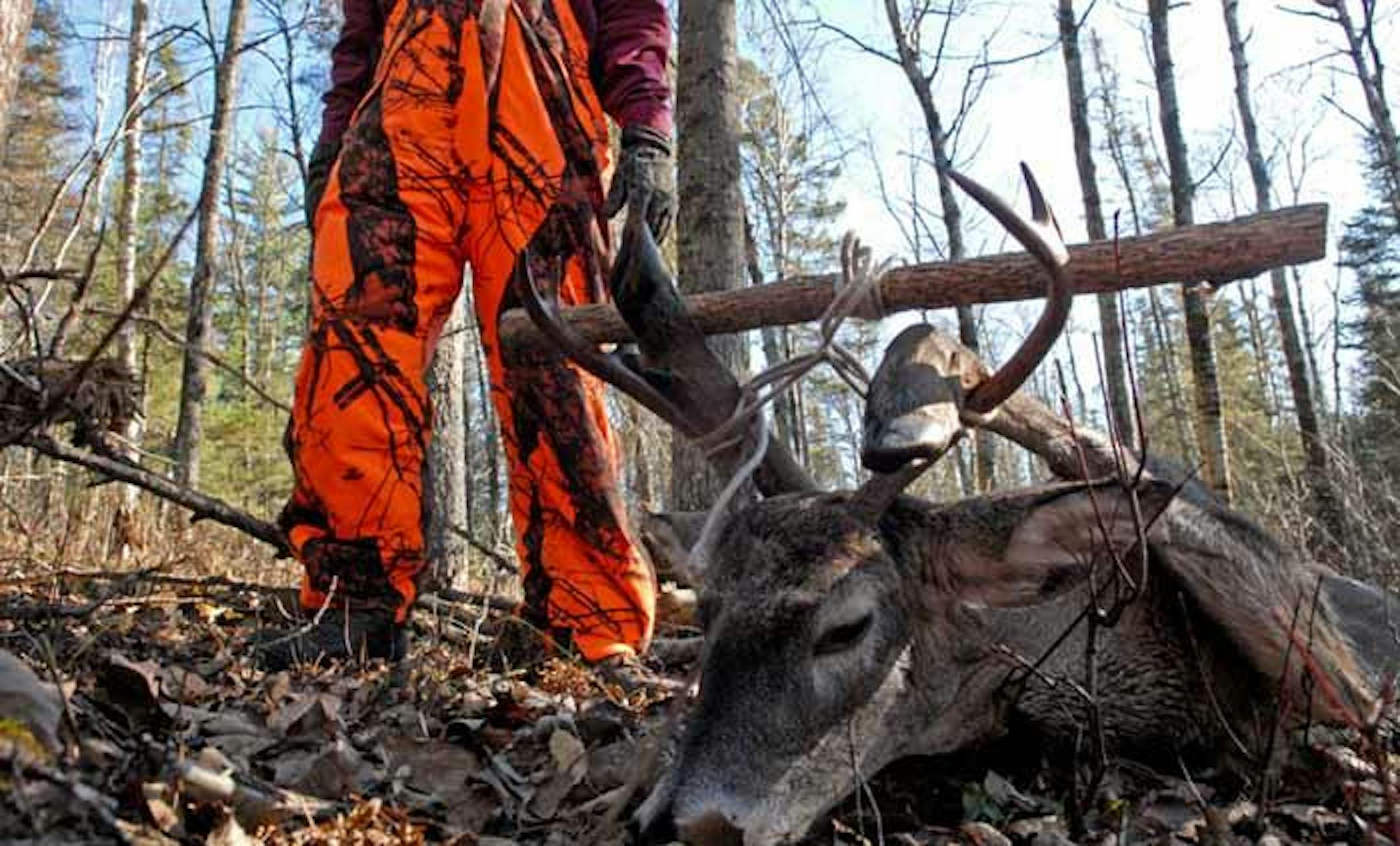 It's possible southeast Minnesota deer hunters will be restricted to killing mature bucks in the future.
