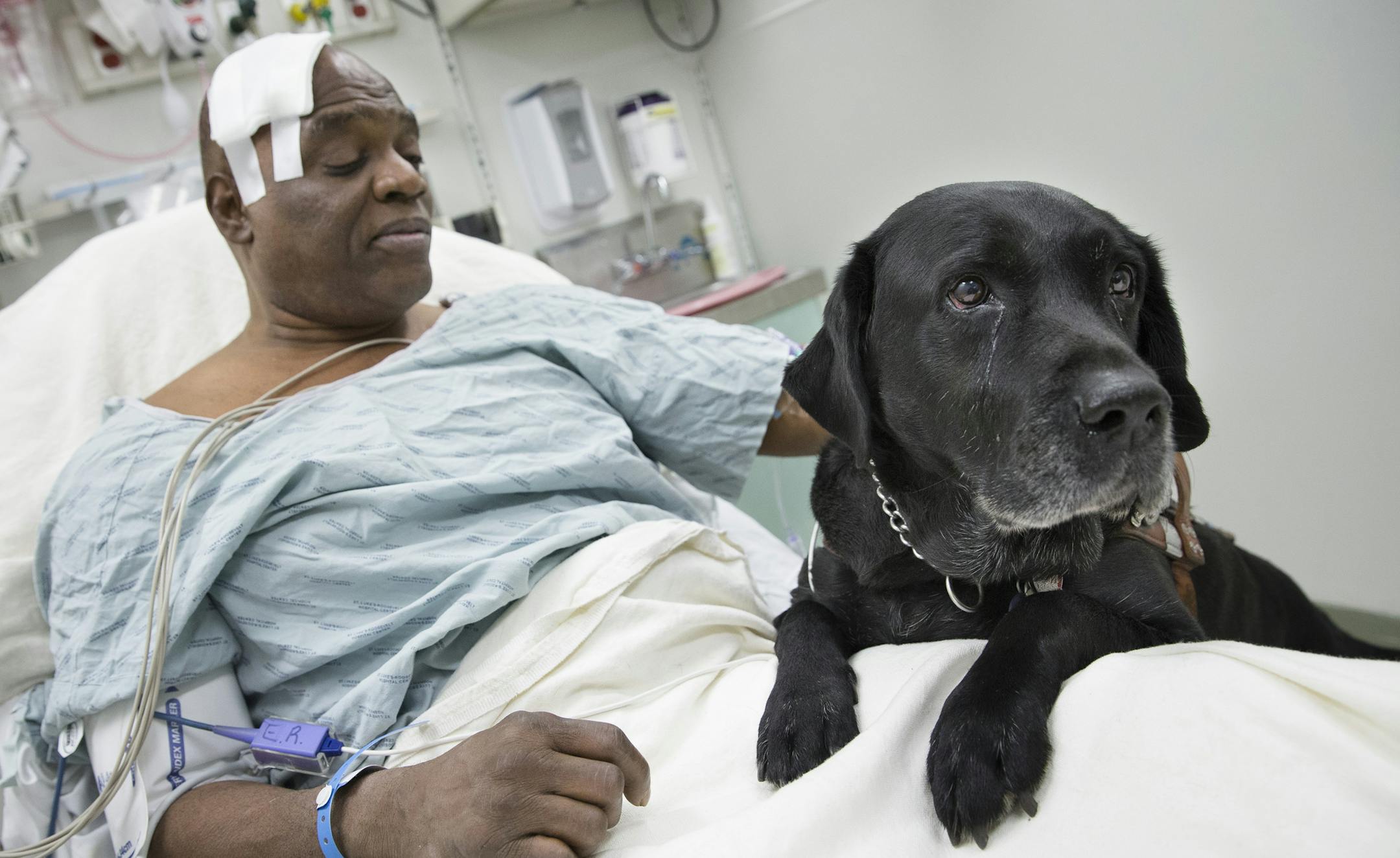Cecil Williams pets his guide dog Orlando in his hospital bed following a fall onto subway tracks from the platform at 145th Street, Tuesday, Dec. 17, 2013, in New York. Williams, 61 and blind, says he fainted while holding onto his black labrador who tried to save him from falling.