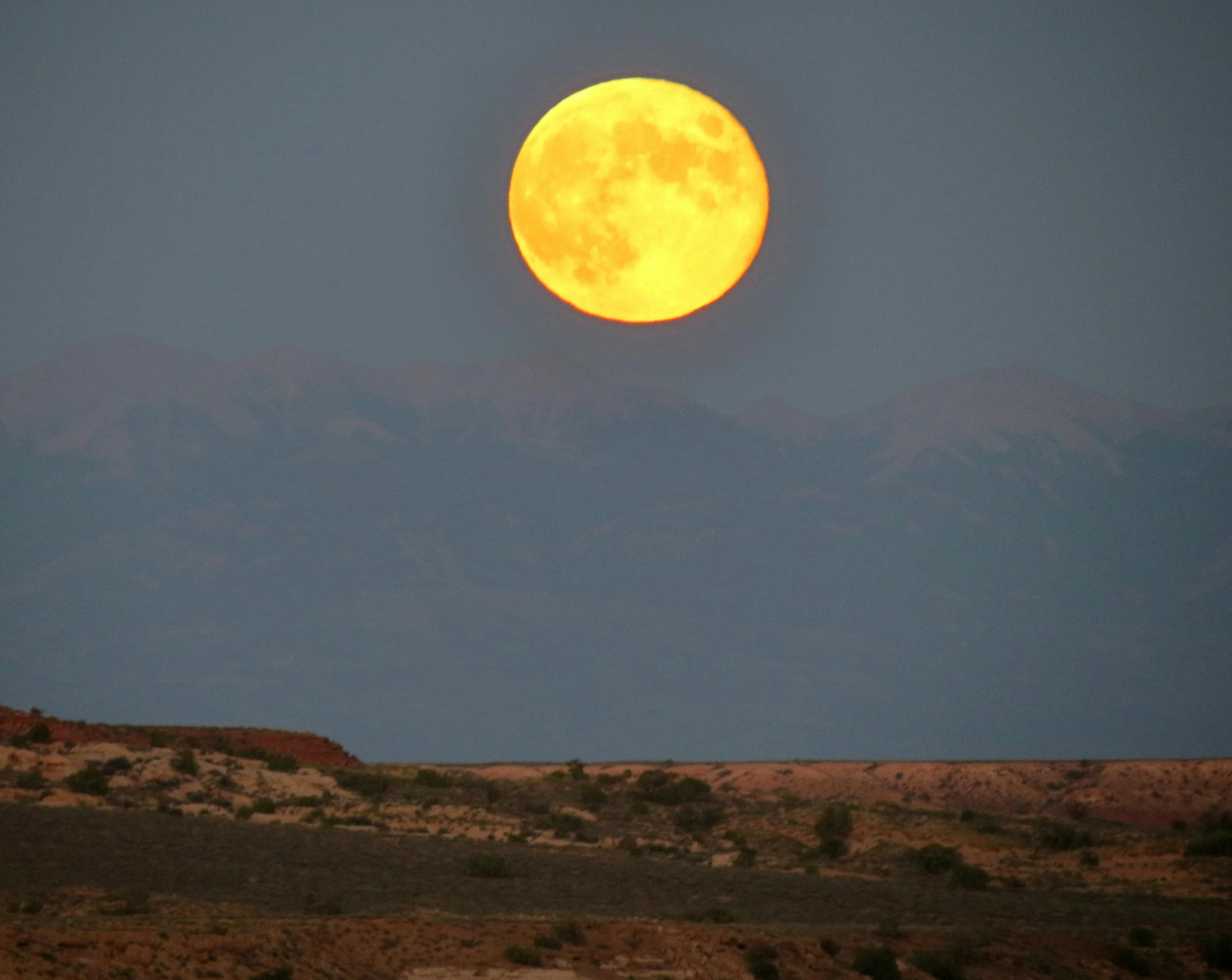 CanyonTR062214 -Moon over La Sals. A full moon rises over the La Sal Mountains in southeastern Utah. Seen from the lip of Horseshoe Canyon in Canyonlands National Park. By Dave Peters