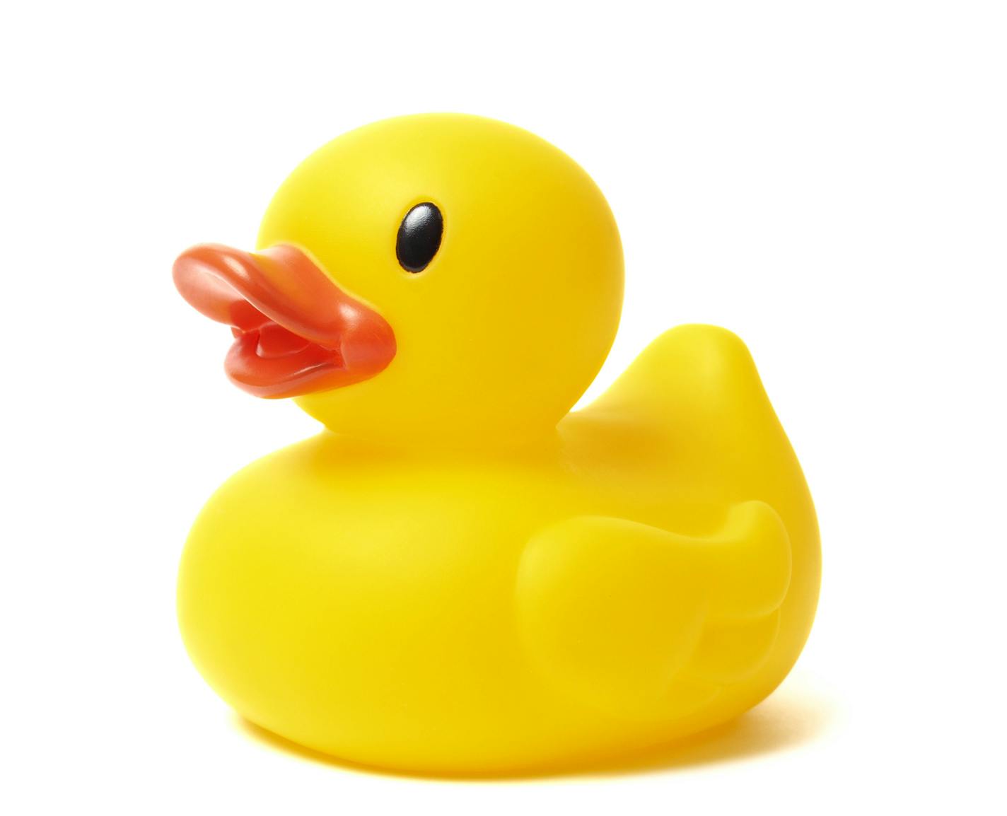 Yellow rubber duck isolated on white background