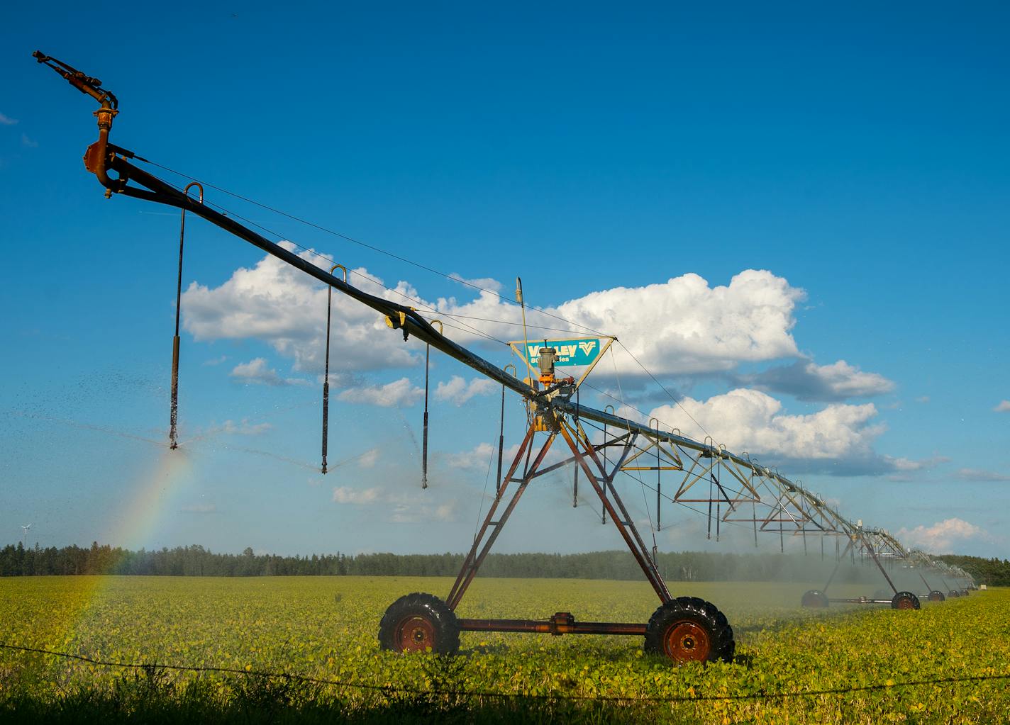 A pivot irrigation system sprayed water onto a soybean crop just south of Park Rapids in Straight River Township in mid August. The Straight River is a tributary of the Mississippi threatened by an increase of agricultural pollution. ] (AARON LAVINSKY/STAR TRIBUNE) aaron.lavinsky@startribune.com RIVERS PROJECT: We look at three of Minnesota's rivers, including the Mississippi, Red and Chippewa, to see how land use effects water quality and pollution.