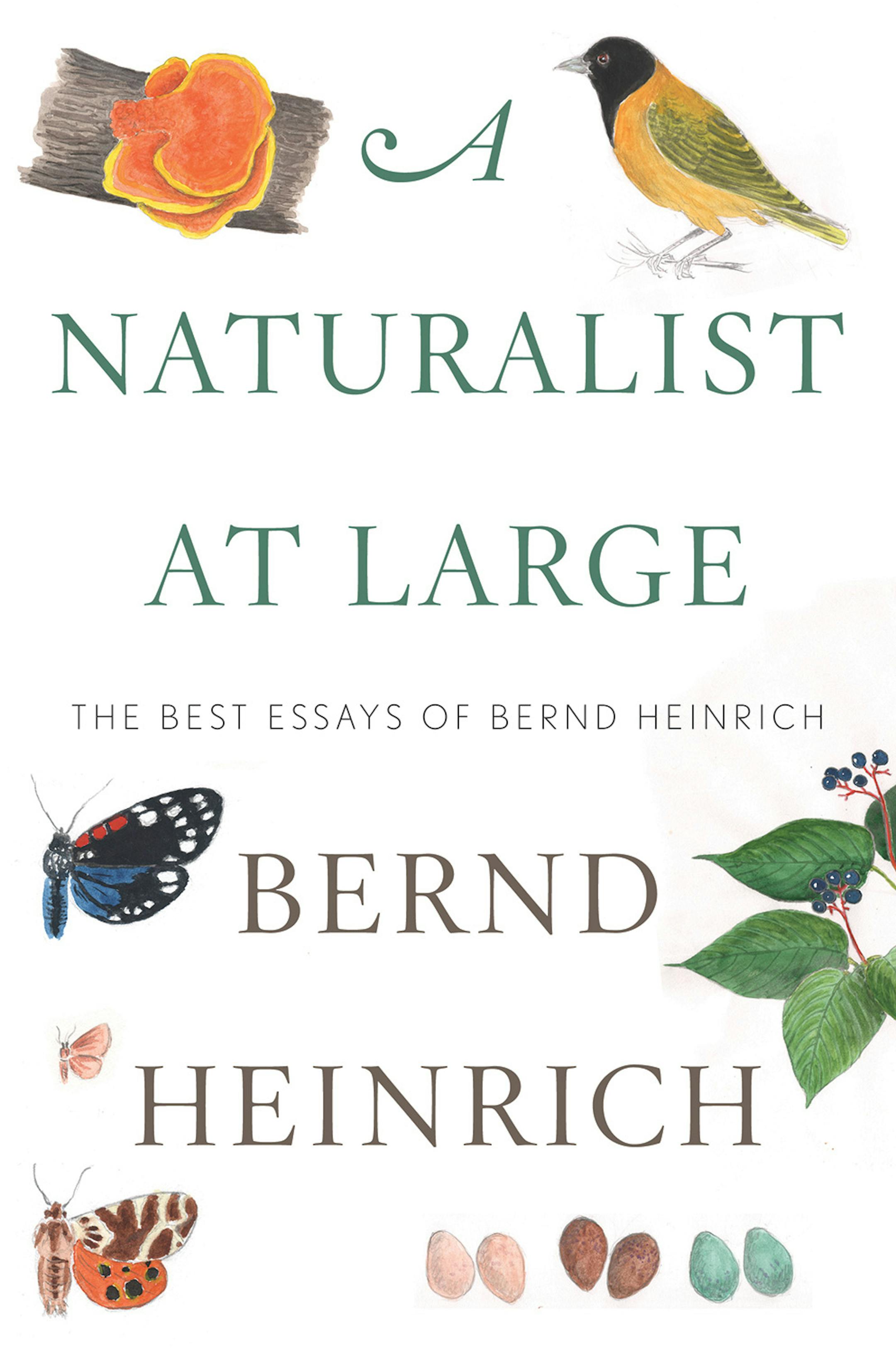 "A Naturalist At Large," Bernd Heinrich