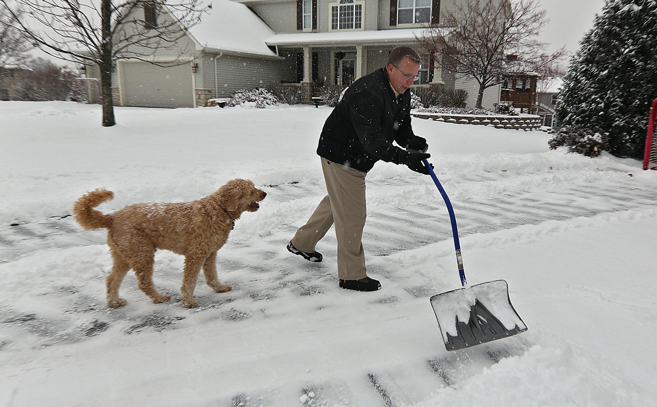 Dan Johnson shoveled the driveway at his Chanhassen home, while the family dog, Homer (a golden doodle), played nearby. Johnson‚Äôs right hip was replaced last March. ] JIM GEHRZ ‚Ä¢ jgehrz@startribune.com / Chanhassen, MN / December 4, 2013 / 11:00 AM - BACKGROUND INFORMATION: Dan Johnson‚Äôs balky right hip really started hurting last fall, so much so that he never hesitated in getting it replaced. The main question for the 49-year-old, like s