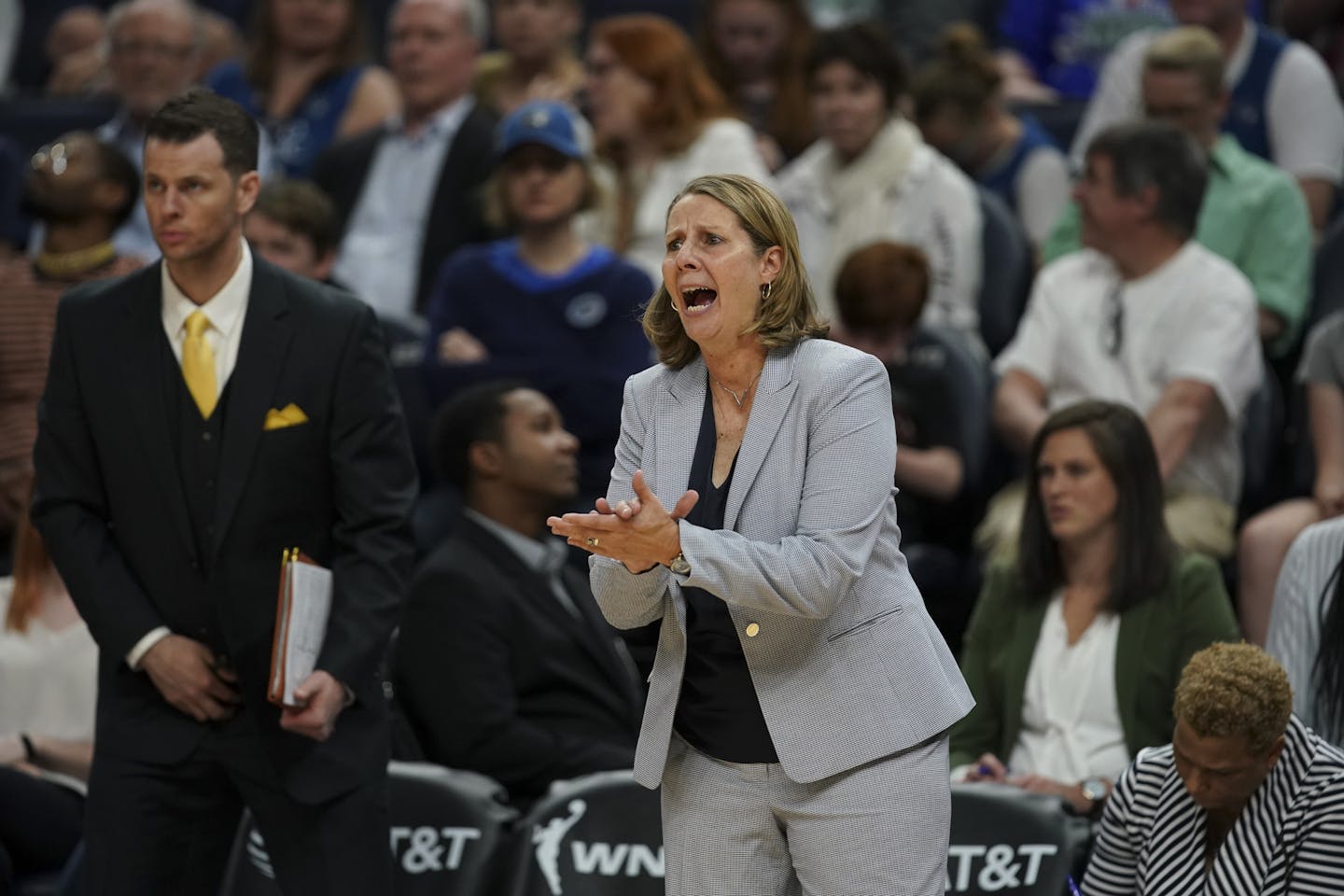 Lynx coach Cheryl Reeve