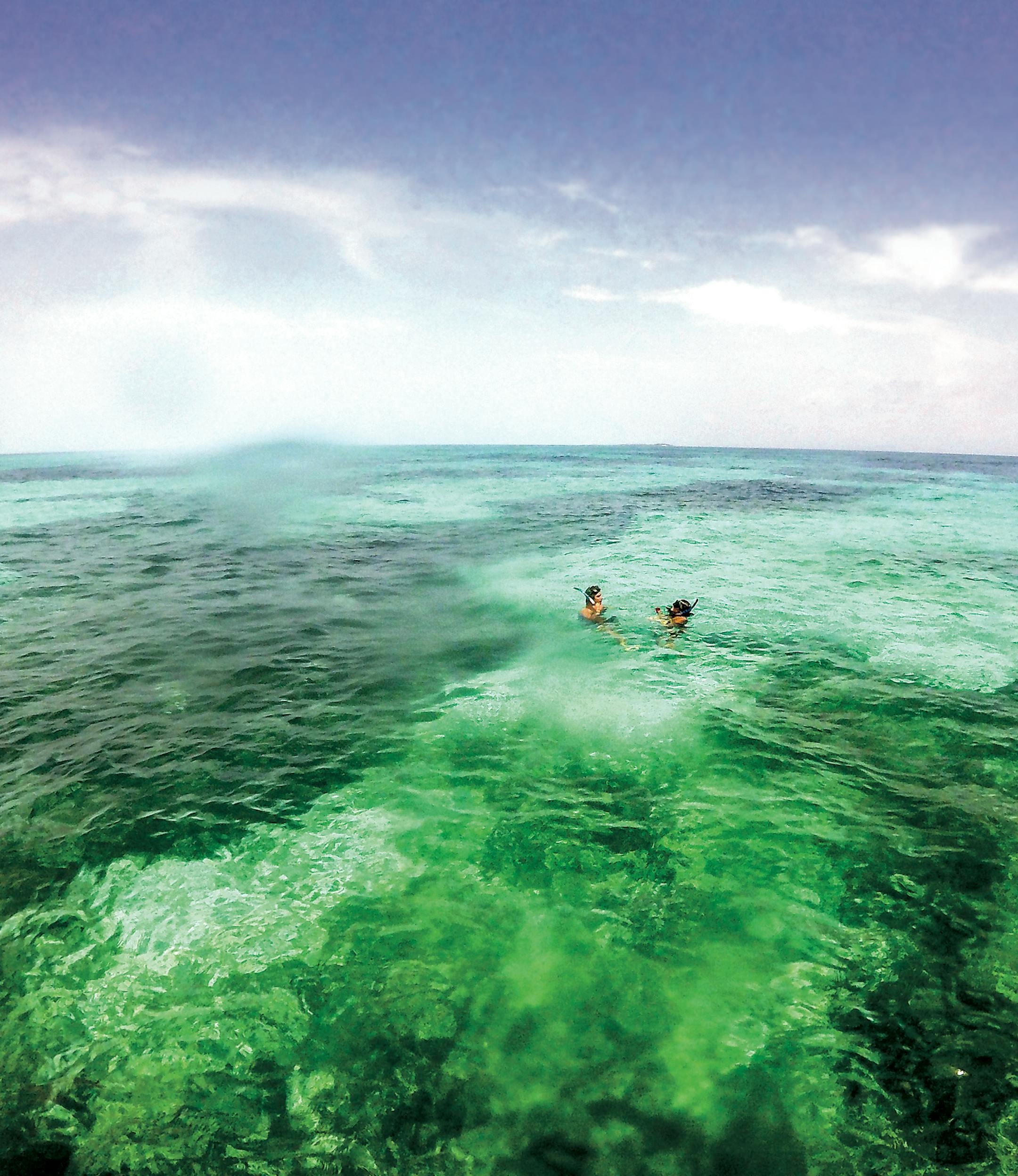 Besides whale shark sightings from May through September, the turquoise waters off Isla Holbox offer colorful snorkeling.
