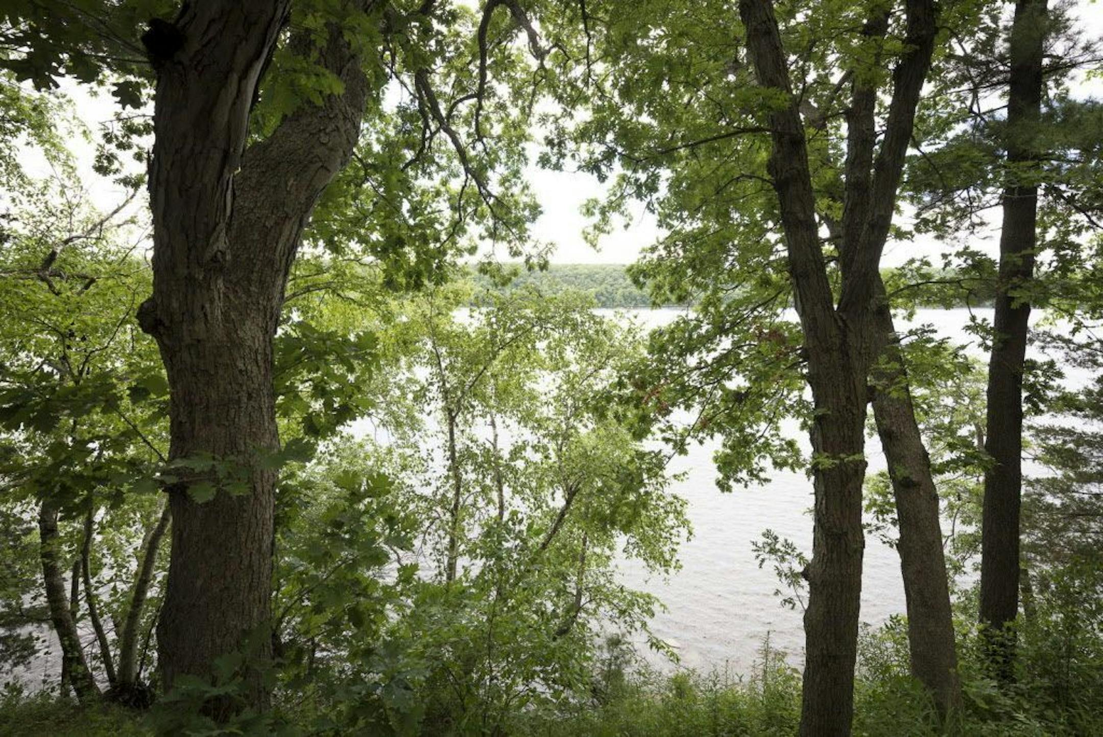 The view of the river.
