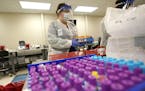 Julie Janke, a medical technologist at Principle Health Systems and SynerGene Laboratory, helps sort samples for different tests Tuesday, April 28, 20