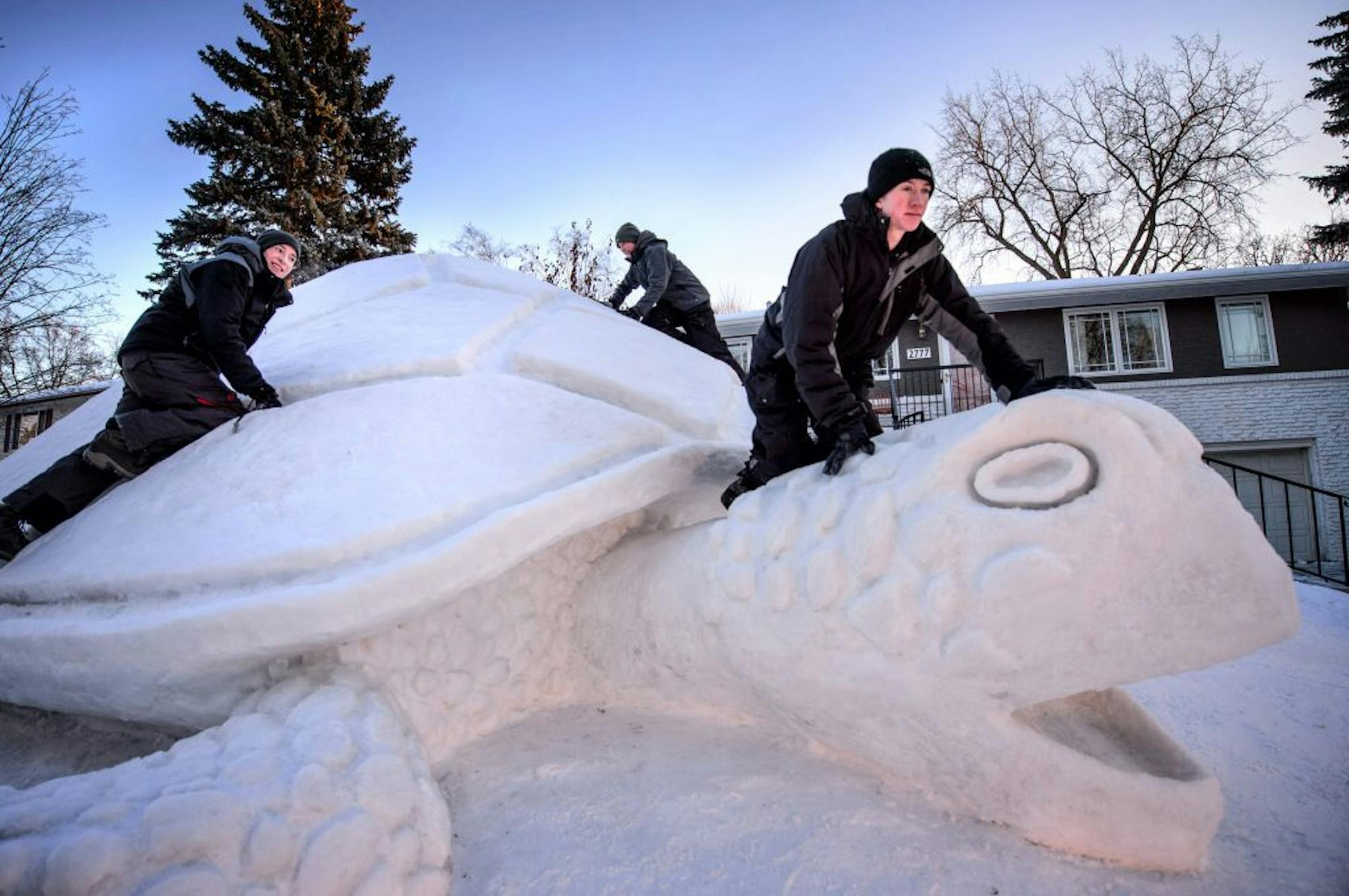 Brothers Austin Bartz, 20, Trevor Bartz, 19 and Connor Bartz, 16 took around 300 hours to build this 12-foot-high snow turtle which measures 37 feet long and 31 feet wide. Last year's snow sculpture was a snow shark and the brothers decided to go "gentle" this year.