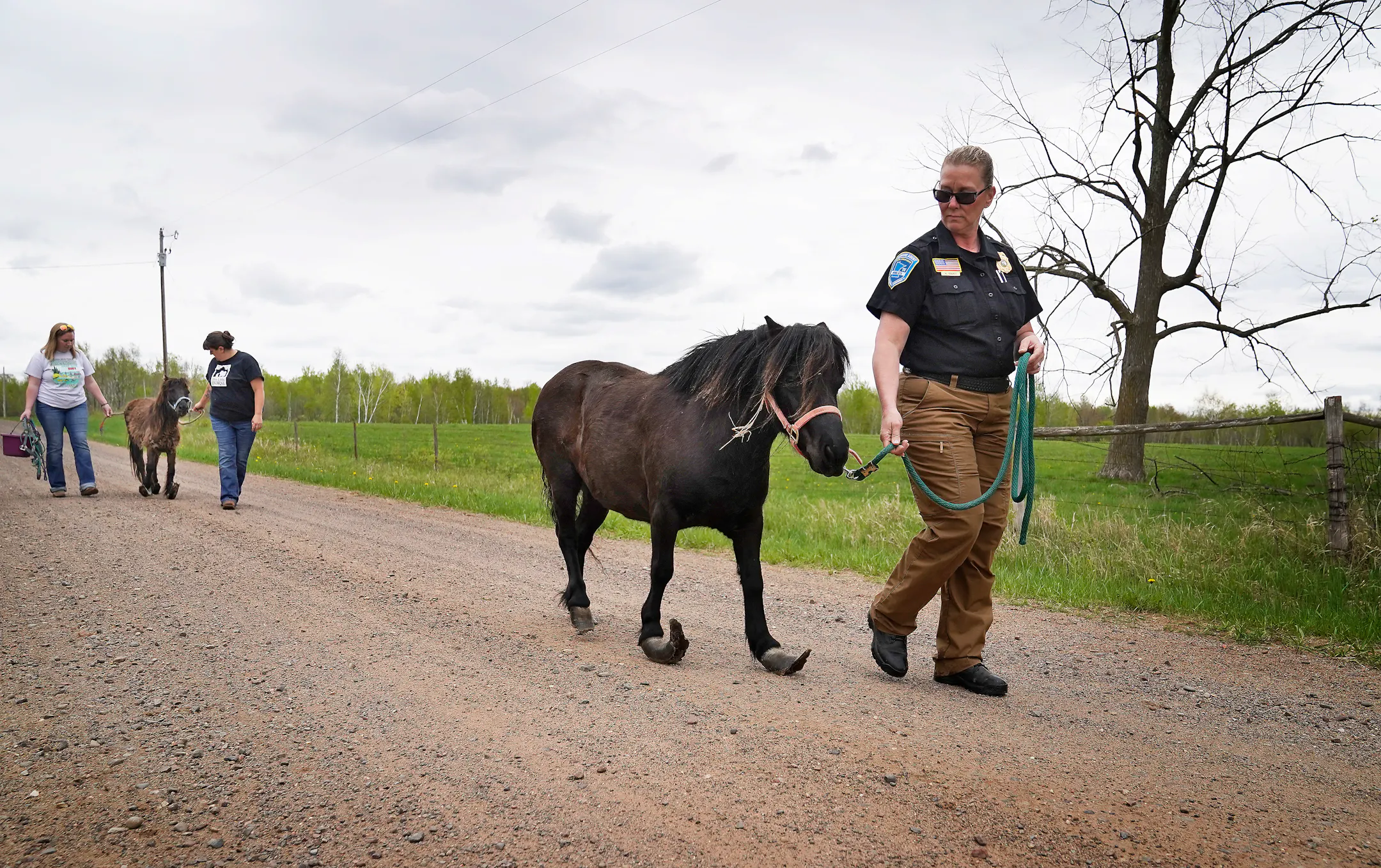 Humane agents rescue Minnesota's maltreated animals, from starving ...