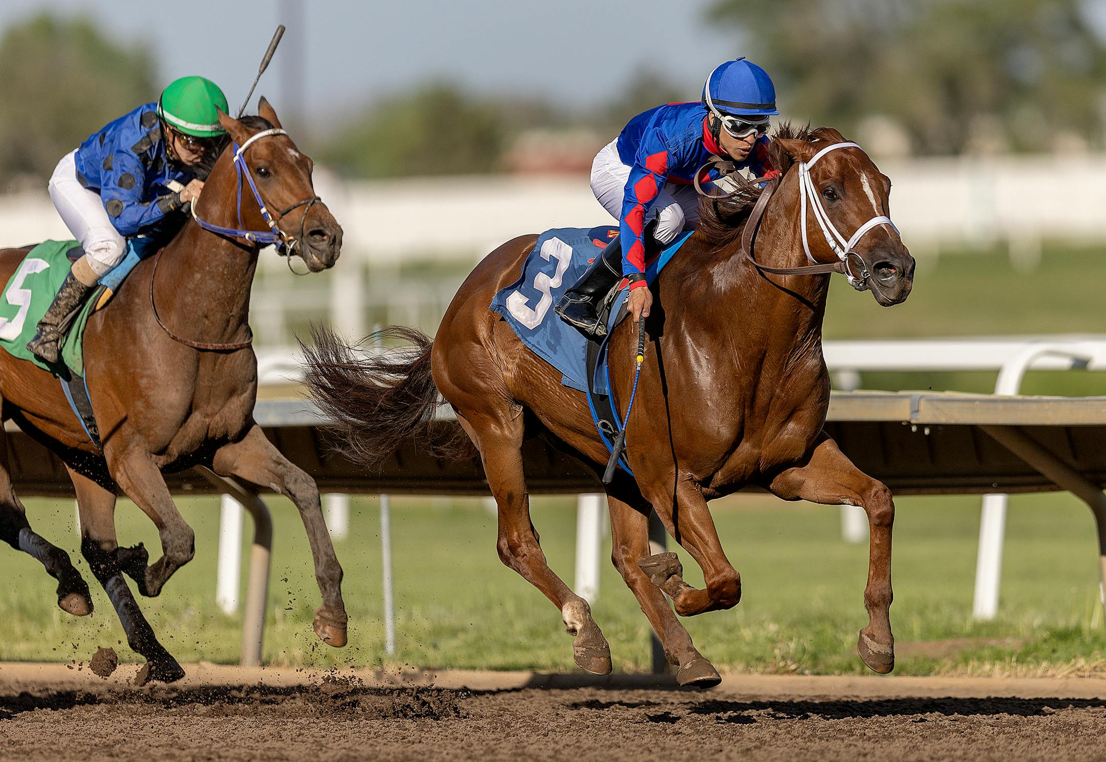 Jockey Carlos Ulloa rides Horse Birdie Machine to a victory during a race on opening night at Canterbury Park in Shakopee, Minn., on Saturday, May 27, 2023.
