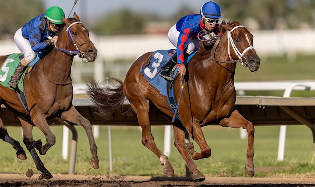 Jockey Carlos Ulloa rides Horse Birdie Machine to a victory during a race on opening night at Canterbury Park in Shakopee, Minn., on Saturday, May 27,