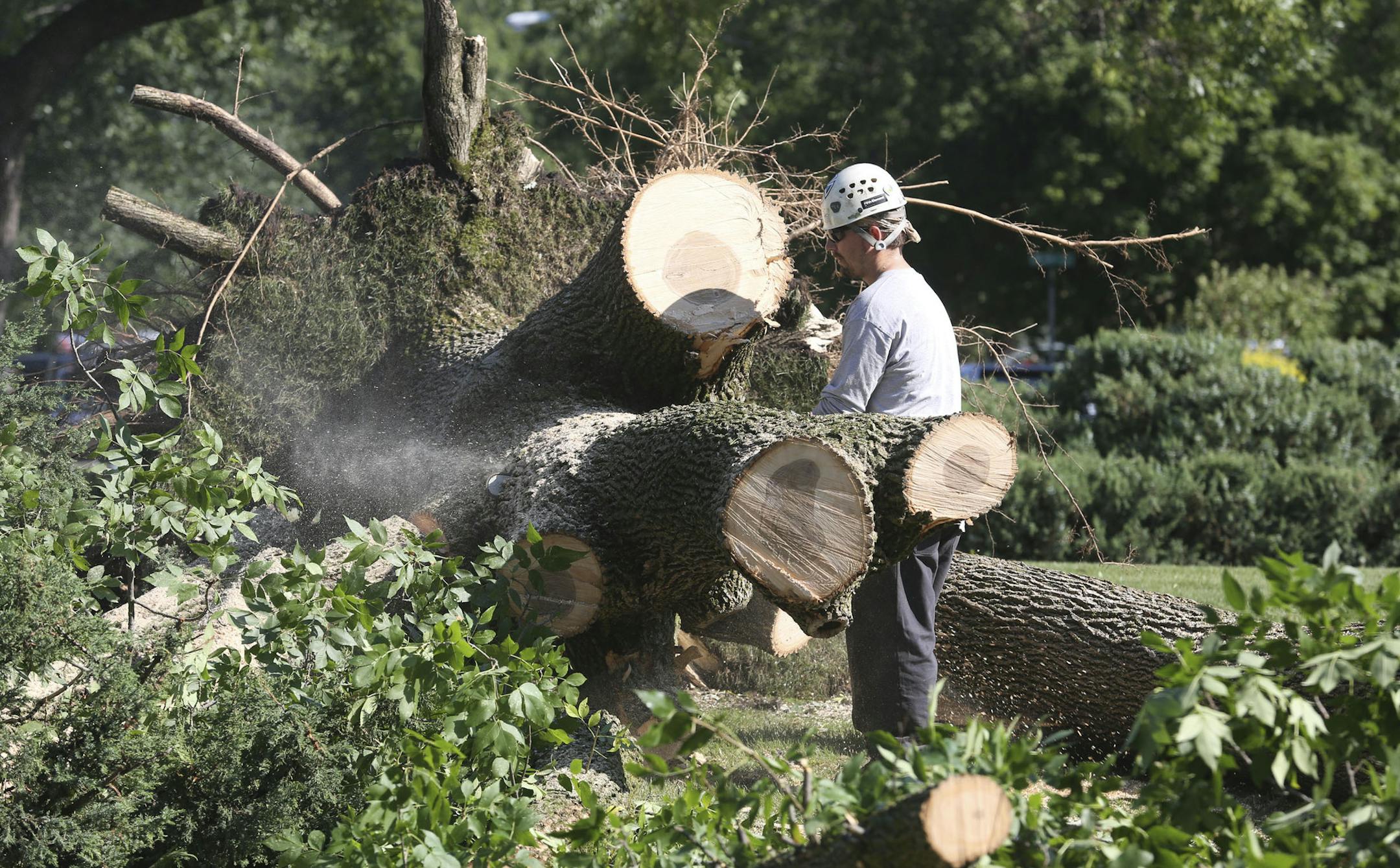 Joe Shefland, of K.C. Groves Tree Experts worked on cutting a downed tree in manageable pieces in Bloomington Park Min., Wednesday, August 7, 2013. ] (KYNDELL HARKNESS/STAR TRIBUNE) kyndell.harkness@startribune.com