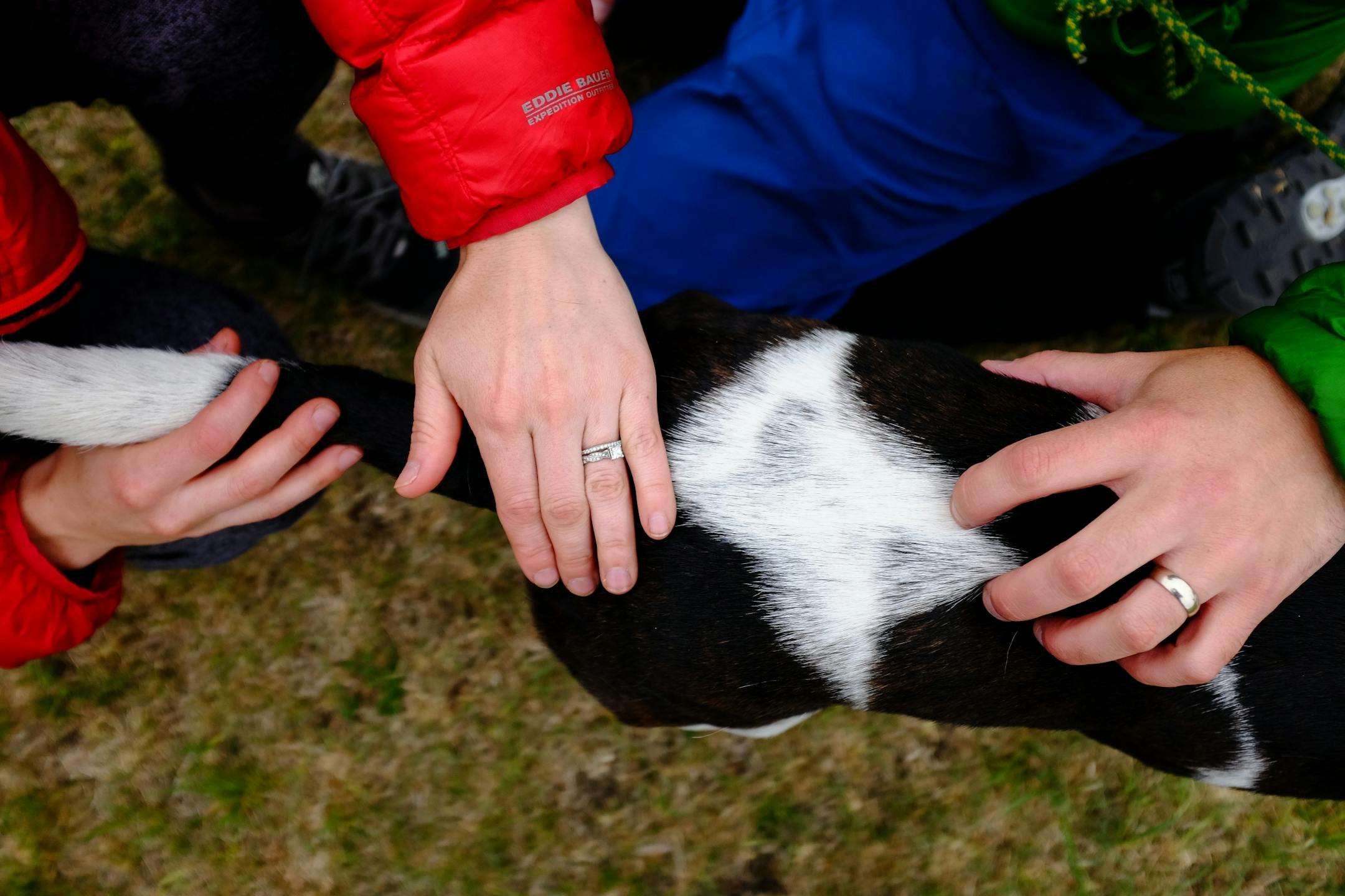 Genna and Anthony Souffle looked over their dog Elsa for ticks before departing from Glacial Lakes State Park Monday morning.