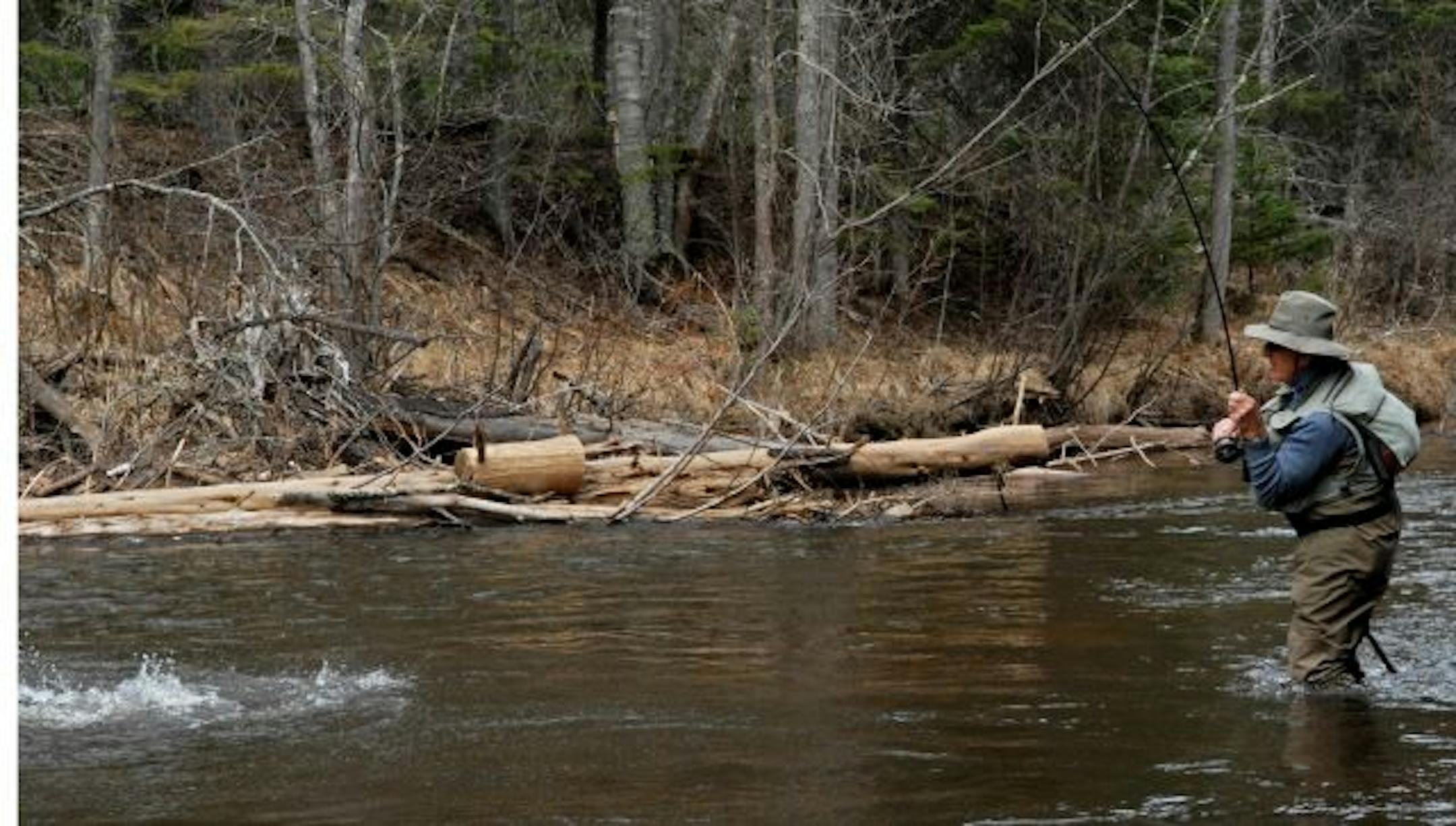 Dave Zentner of Duluth struggles to gain an advantage while fighting a huge steelhead on the Brule River.