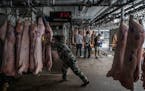 Workers unload pig carcasses at a warehouse that is part of China's national pork reserve, in Beijing, Sept. 27, 2019. The tariff fight has added to C