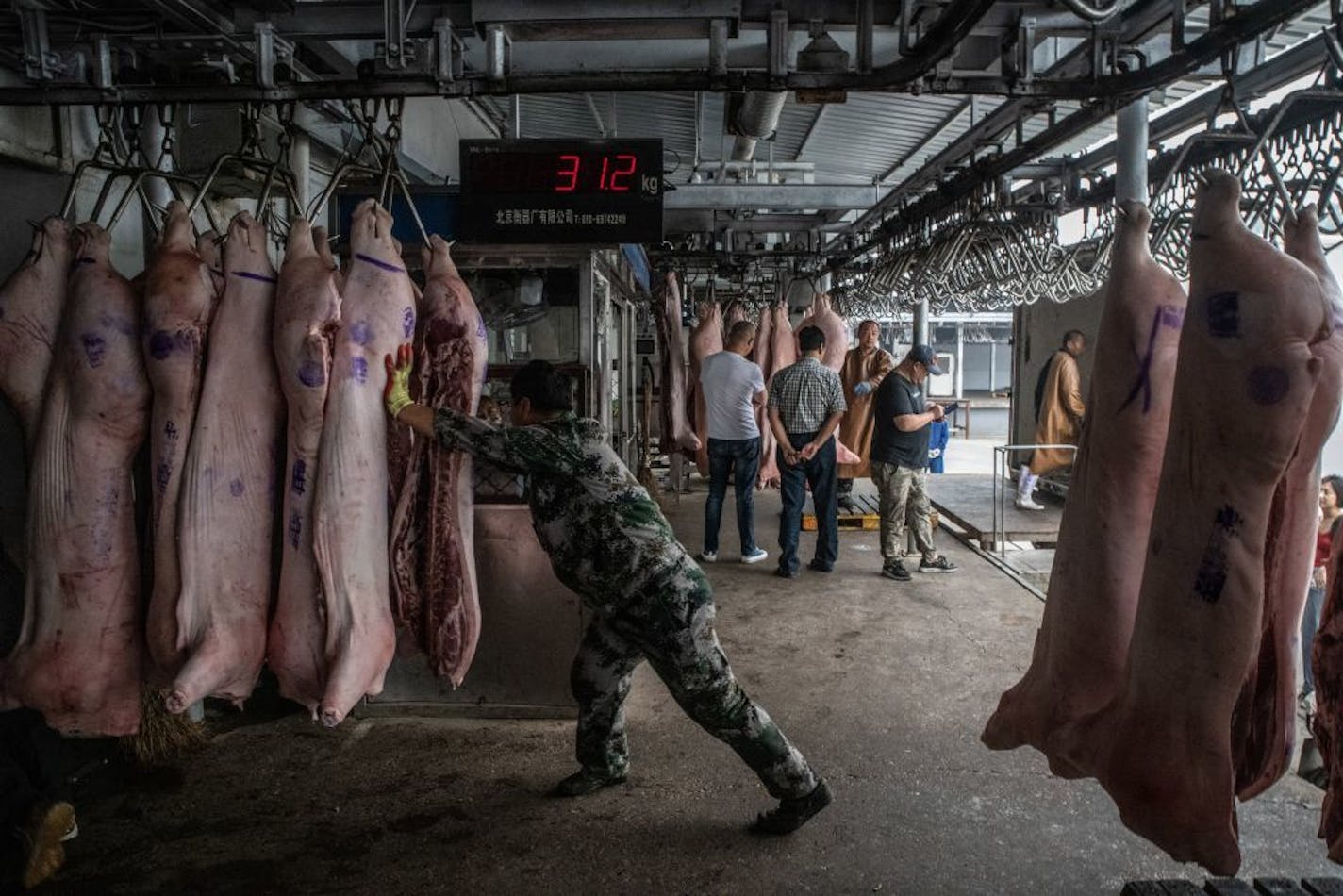 Workers unload pig carcasses at a warehouse that is part of China's national pork reserve, in Beijing, Sept. 27, 2019. The tariff fight has added to Chinese shoppers' grocery bills and the government is coping by tapping its gigantic stockpile of emergency meat.