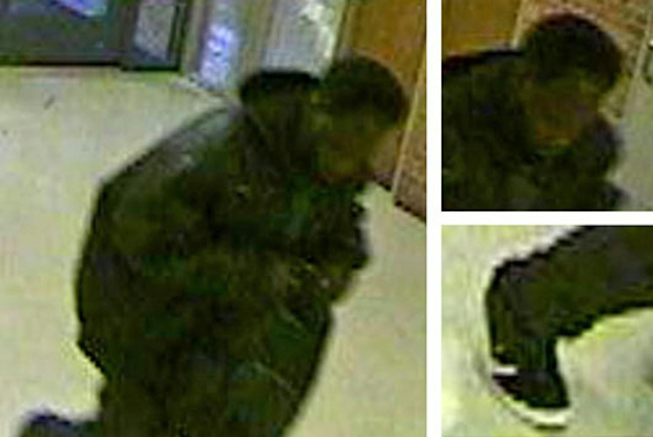 University of Minnesota campus security cameras captured the photos of a male running through Blegen Hall one minute after the incident. Investigators consider him a person of interest.