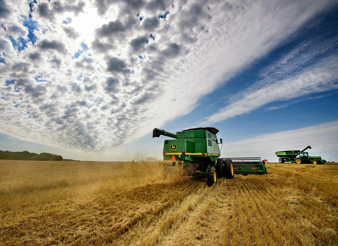 Jack Weber drove his wheat combine on his field. The wheat doesn't bring much cash but it does improve the health of his soil. ] GLEN STUBBE &#xa5; glen.stubbe@startribune.com Wednesday, August 23, 2017 Trip to western Minnesota with Glen Stubbe to interview, photograph and film the harvesting of wheat at Jack Weber's farm. Wheat doesn't make him money but it does improve the health of his soil. This crop rotation is one of several steps Weber uses to make the land better and is in line with wha